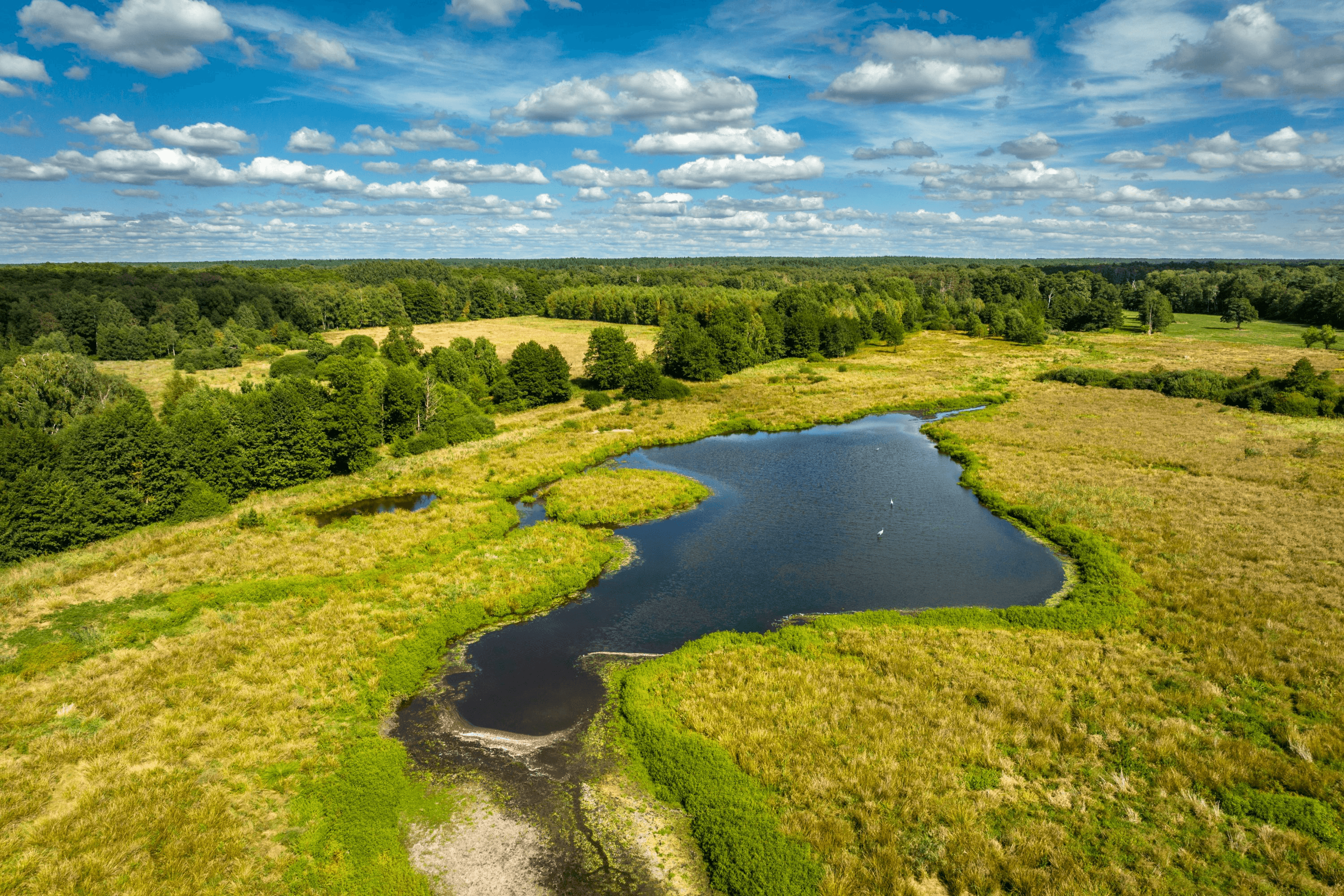 Postmoor bei Eldingen von oben