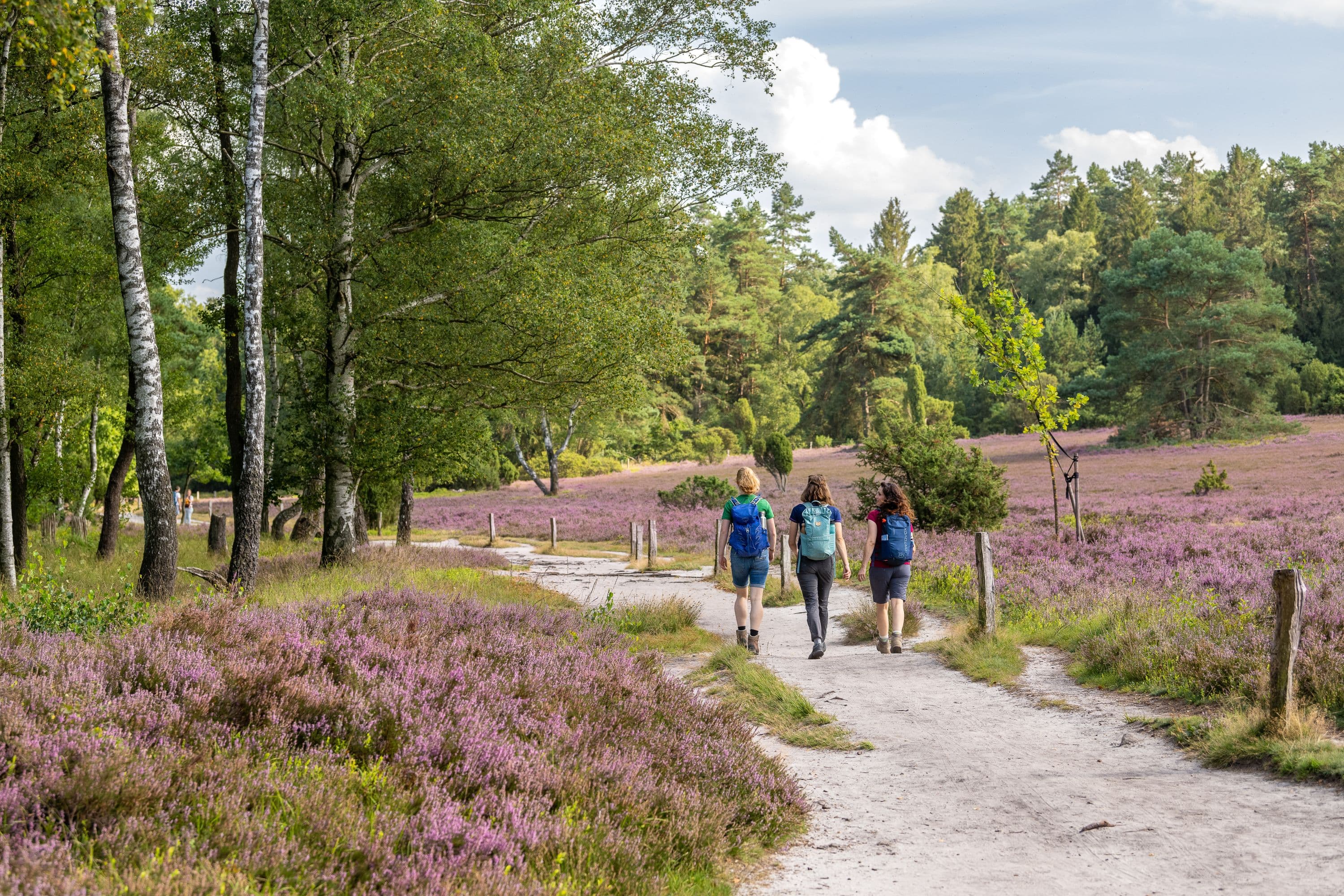 Büsenbachtal Handeloh wandern