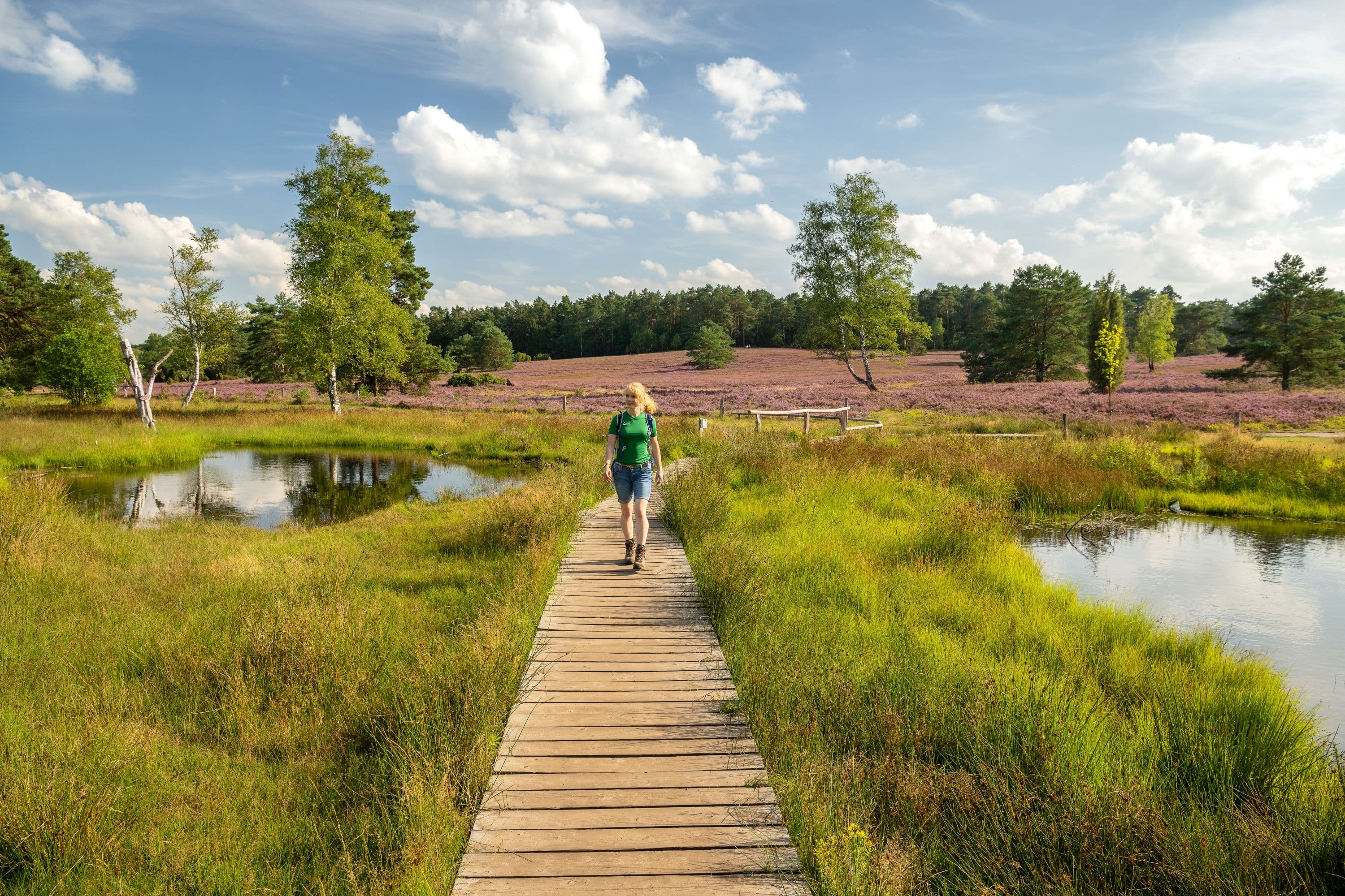 Rundwanderweg durch die Höhepunkte der Nordheide
