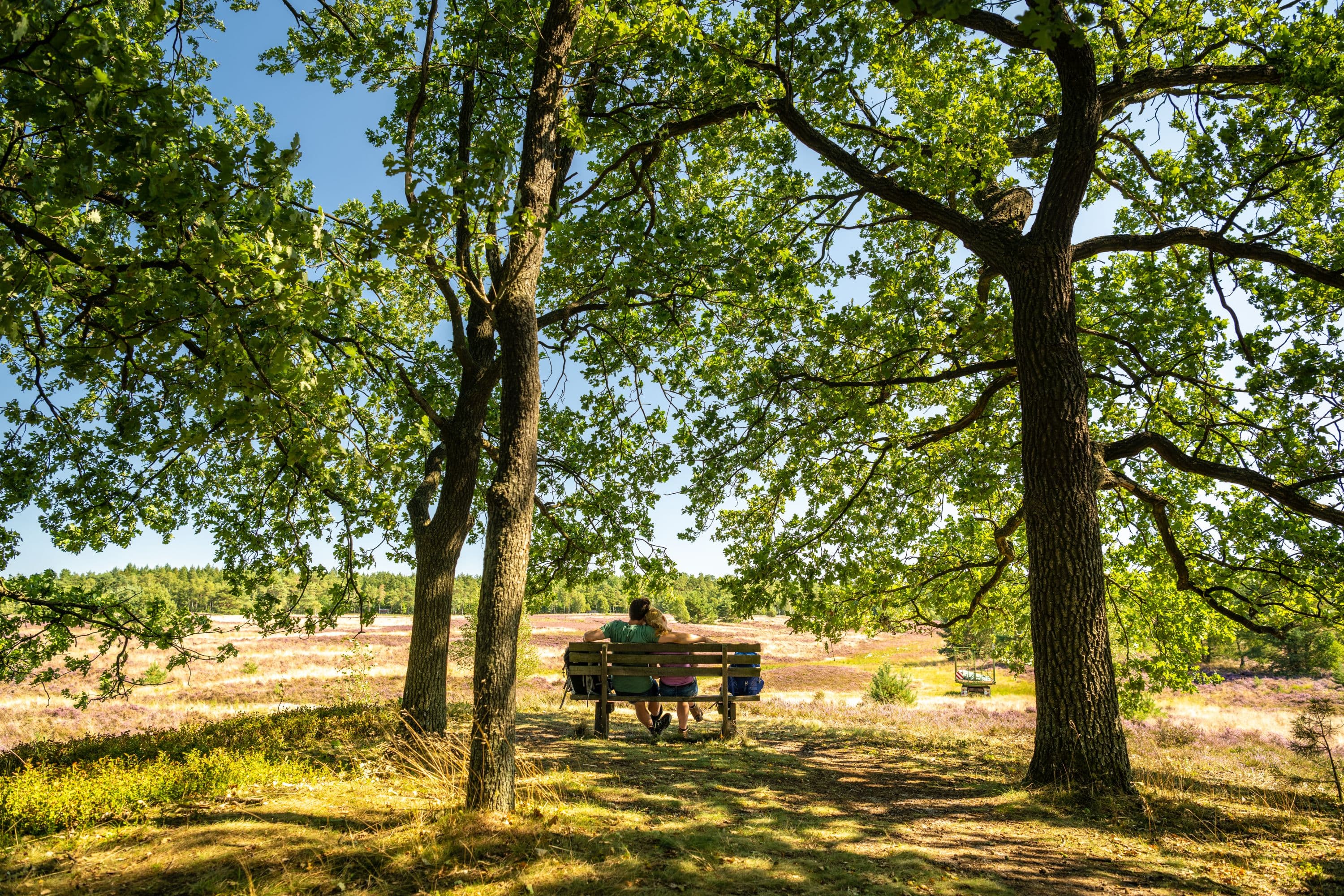 Bank in der Weseler Heide