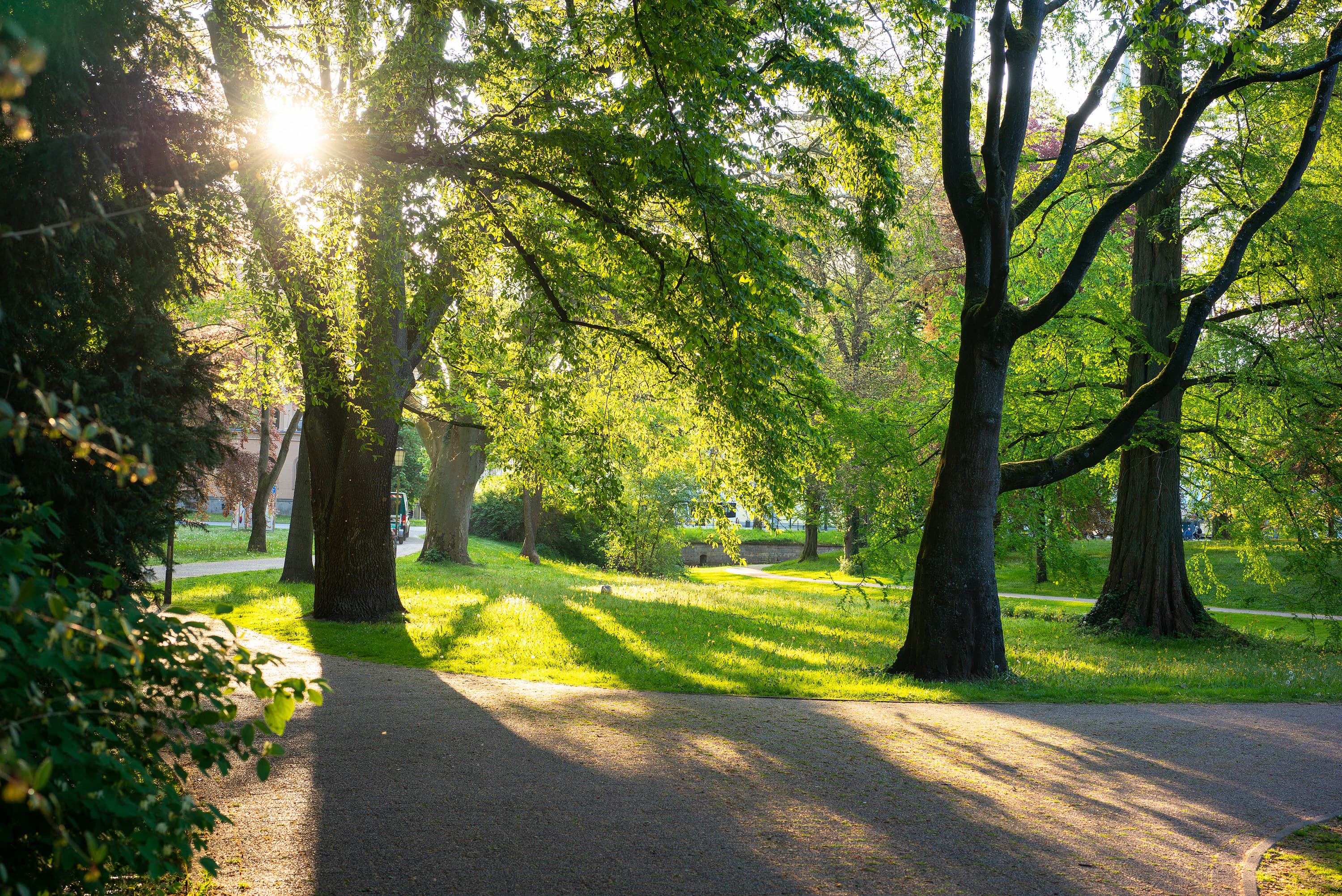 Celle Frühling Schlosspark