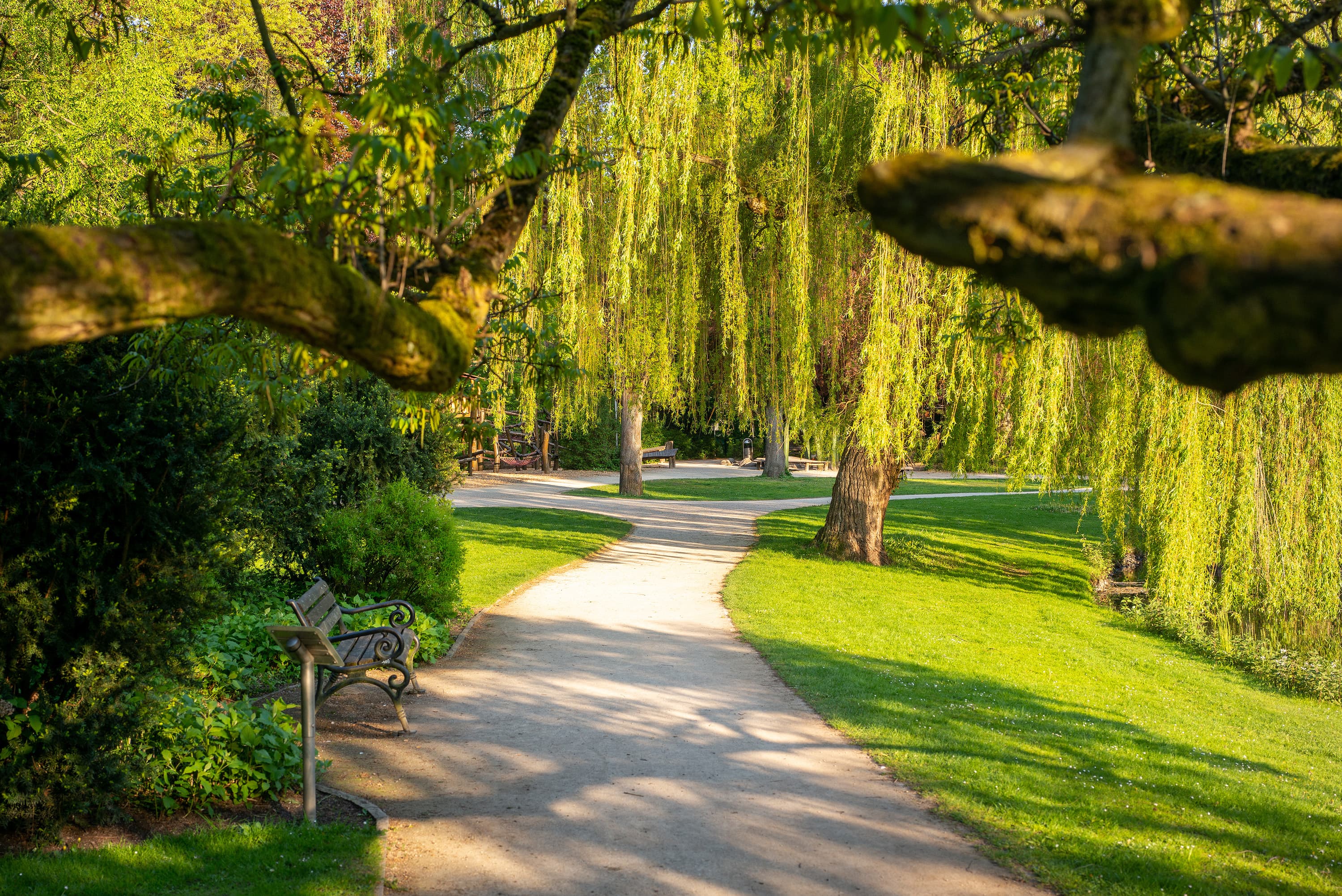 Celle Frühling Schlosspark