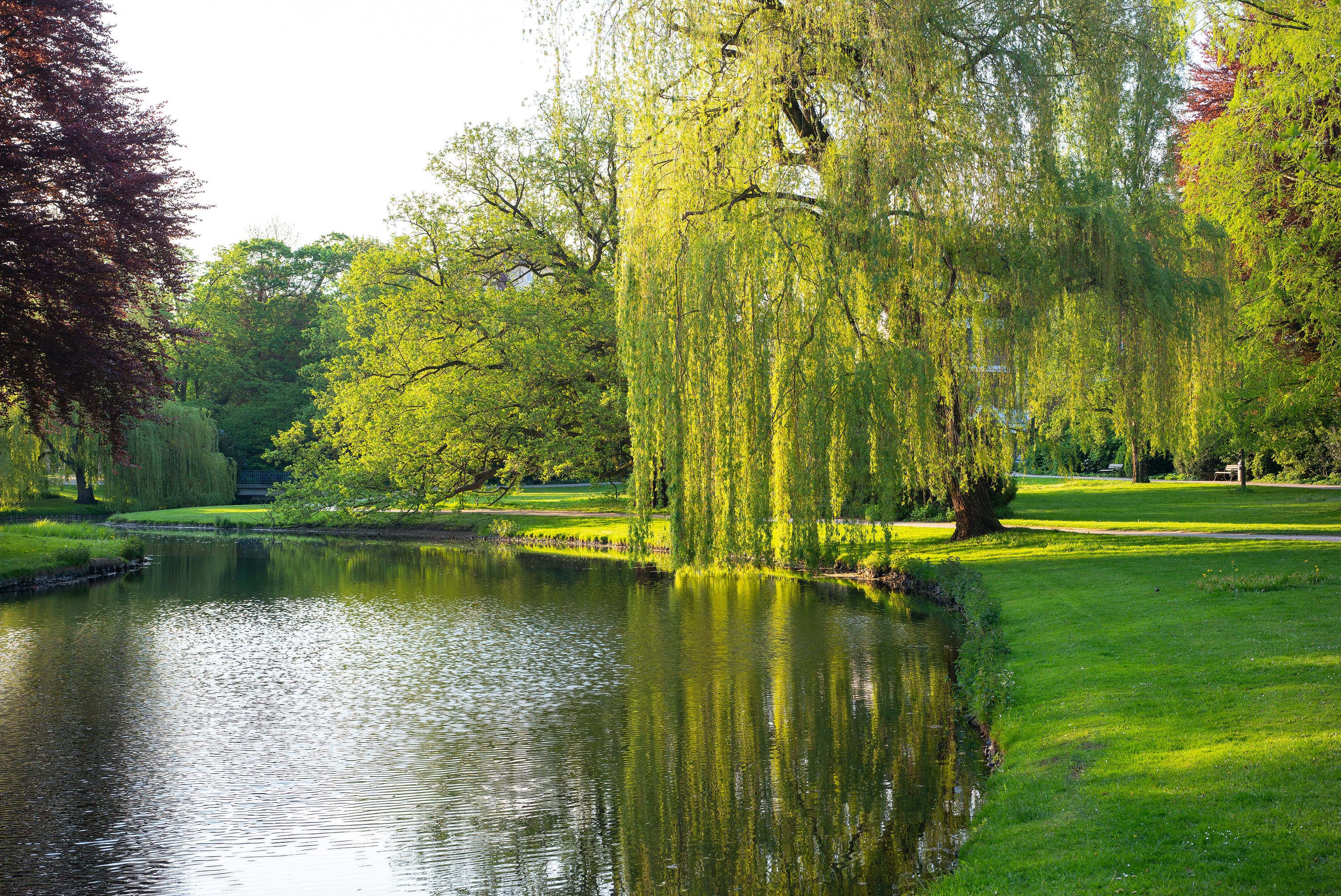Celle Frühling Schlosspark