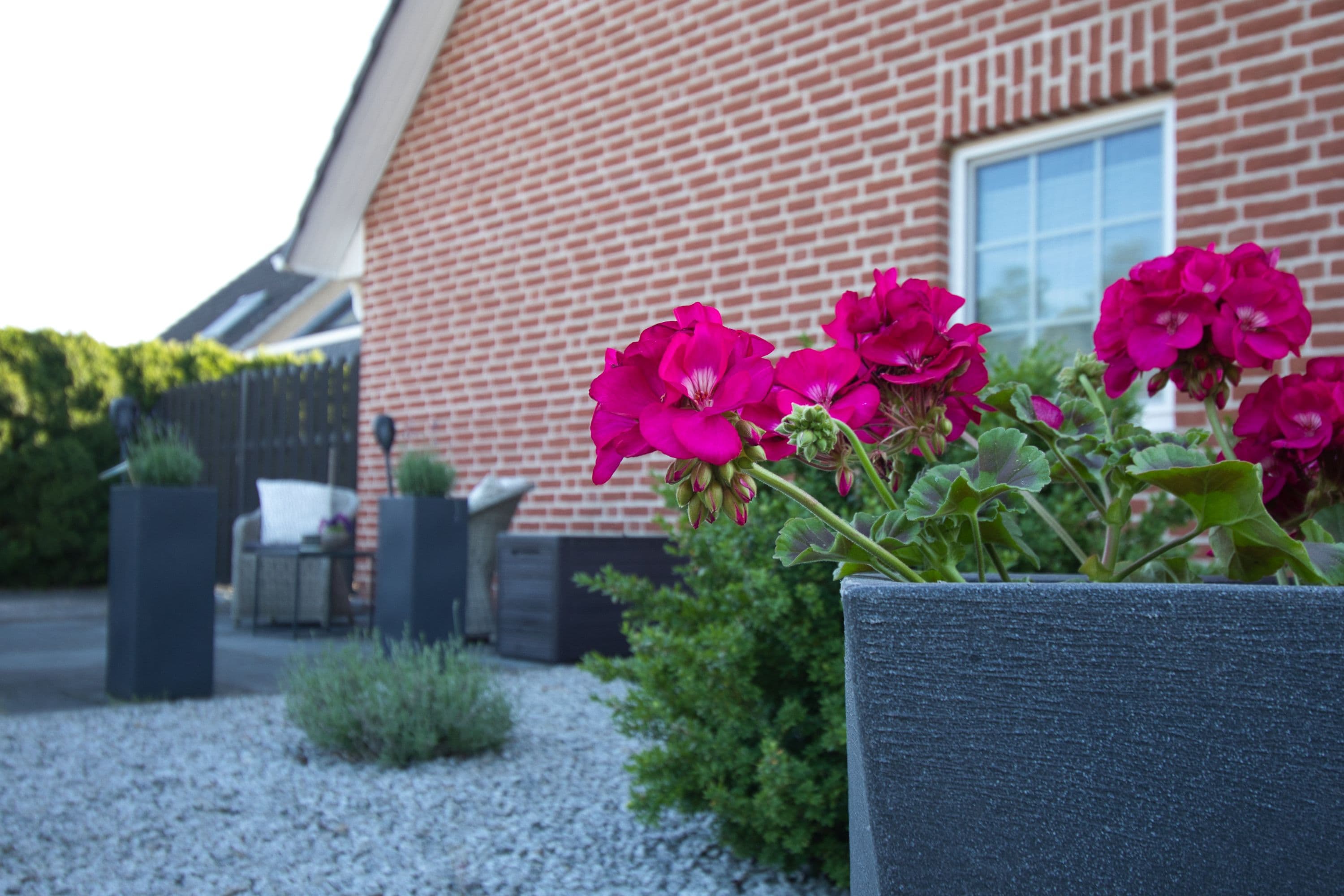 Terrasse an der Ferienwohnung TraumZeit Müden Örtze