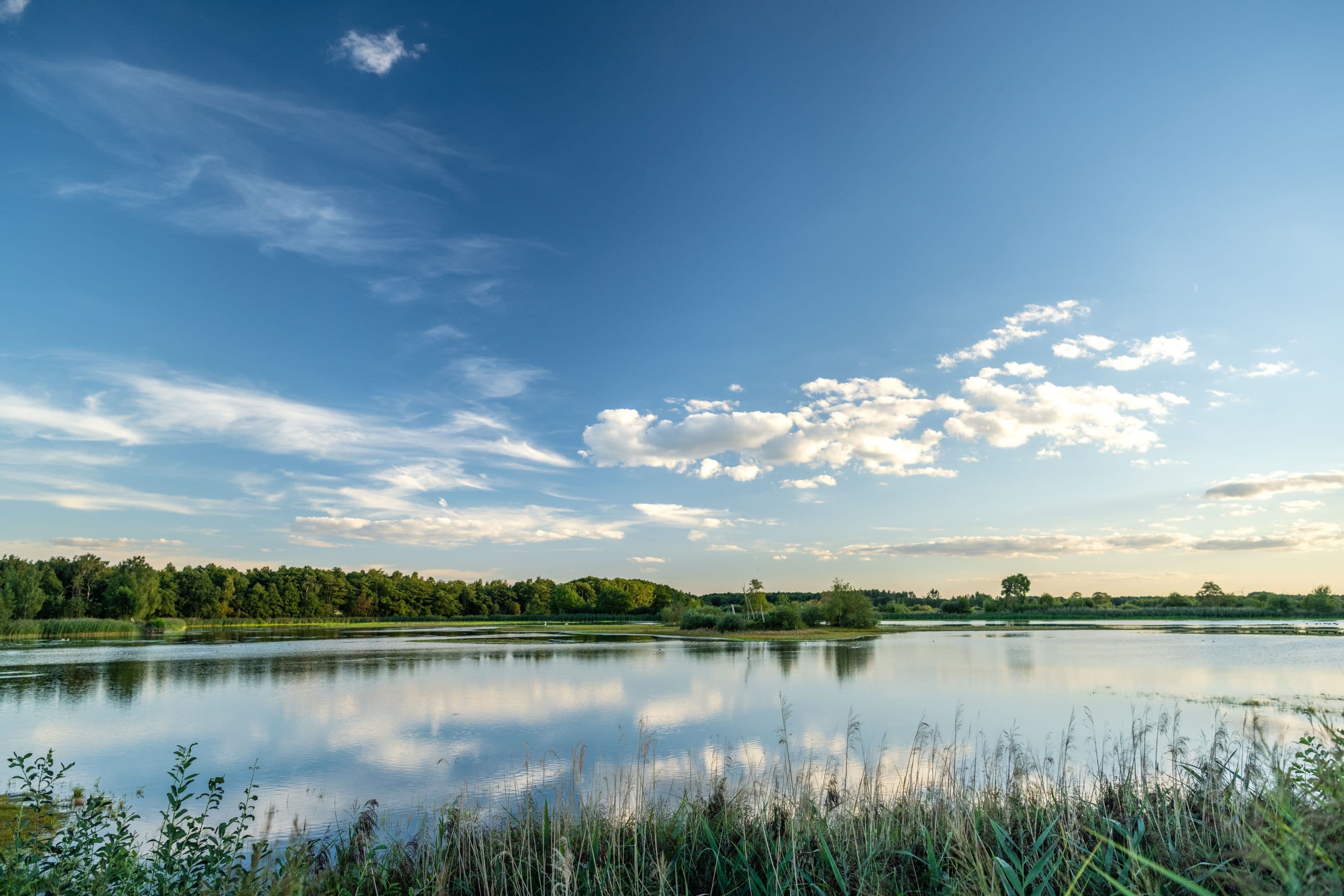 Abendstimmung Meissendorfer Teiche Südheide