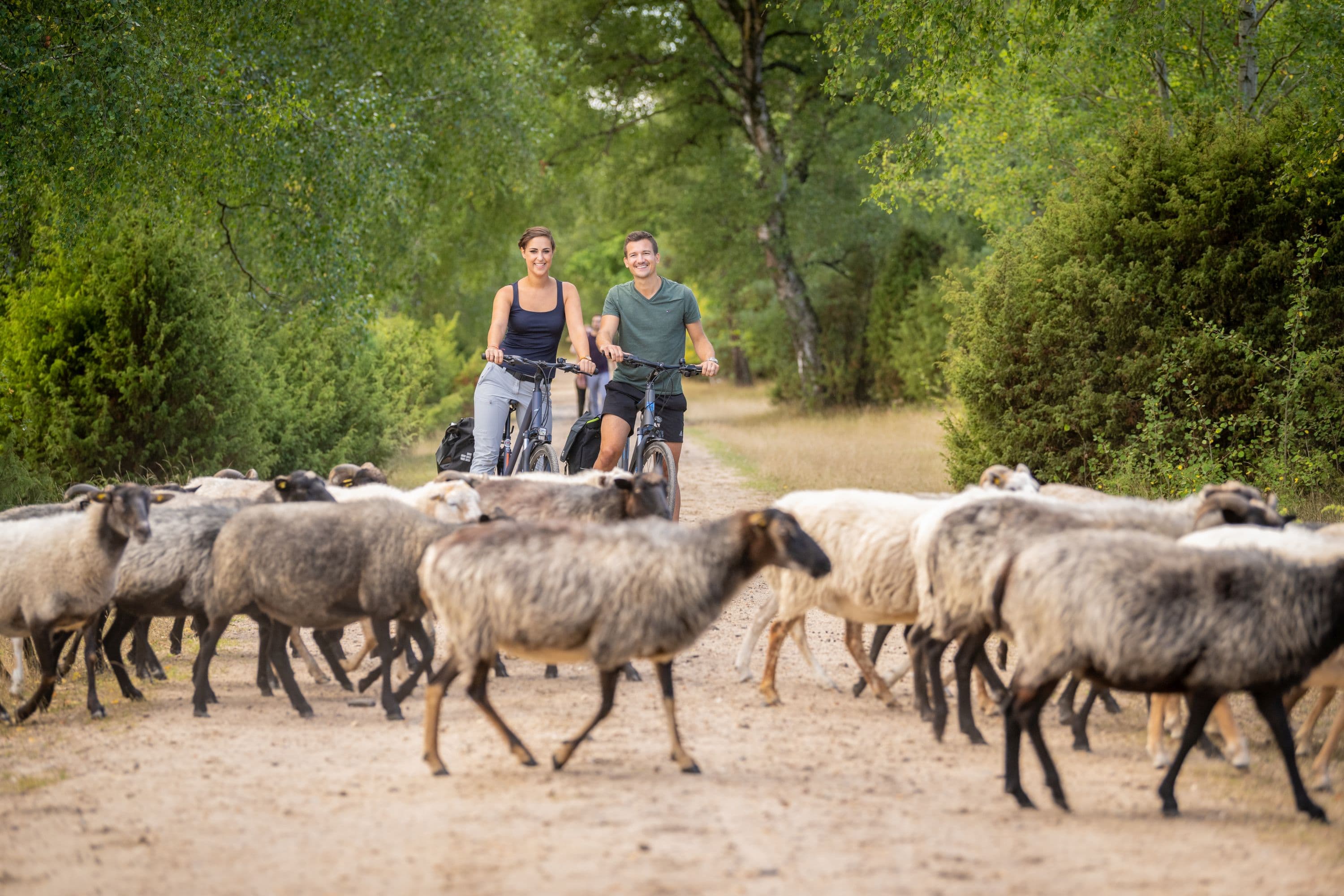 Fahrradfahren im Tiefental