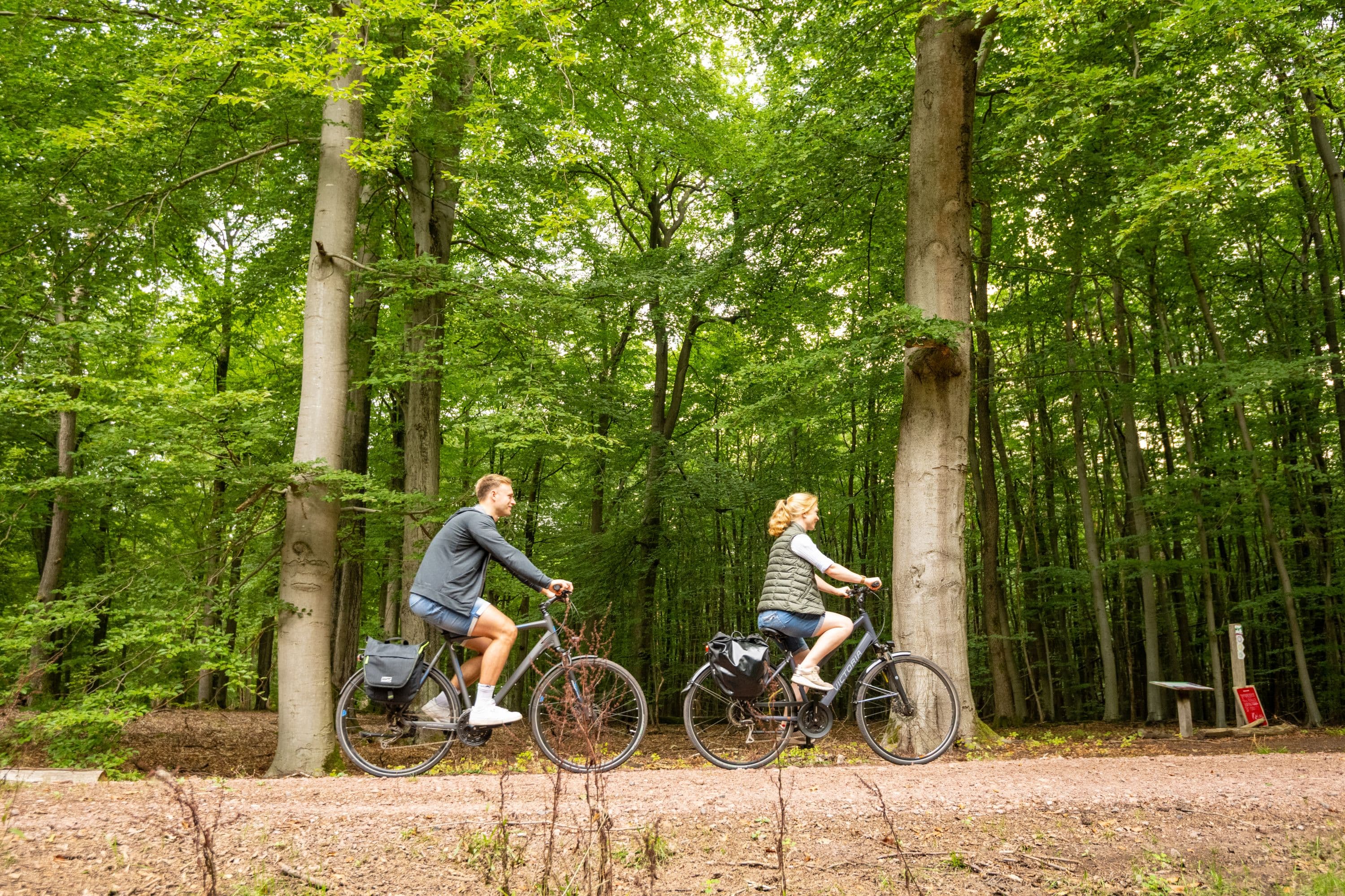 Fahrradfahren Lüßwald Unterlüß Südheide