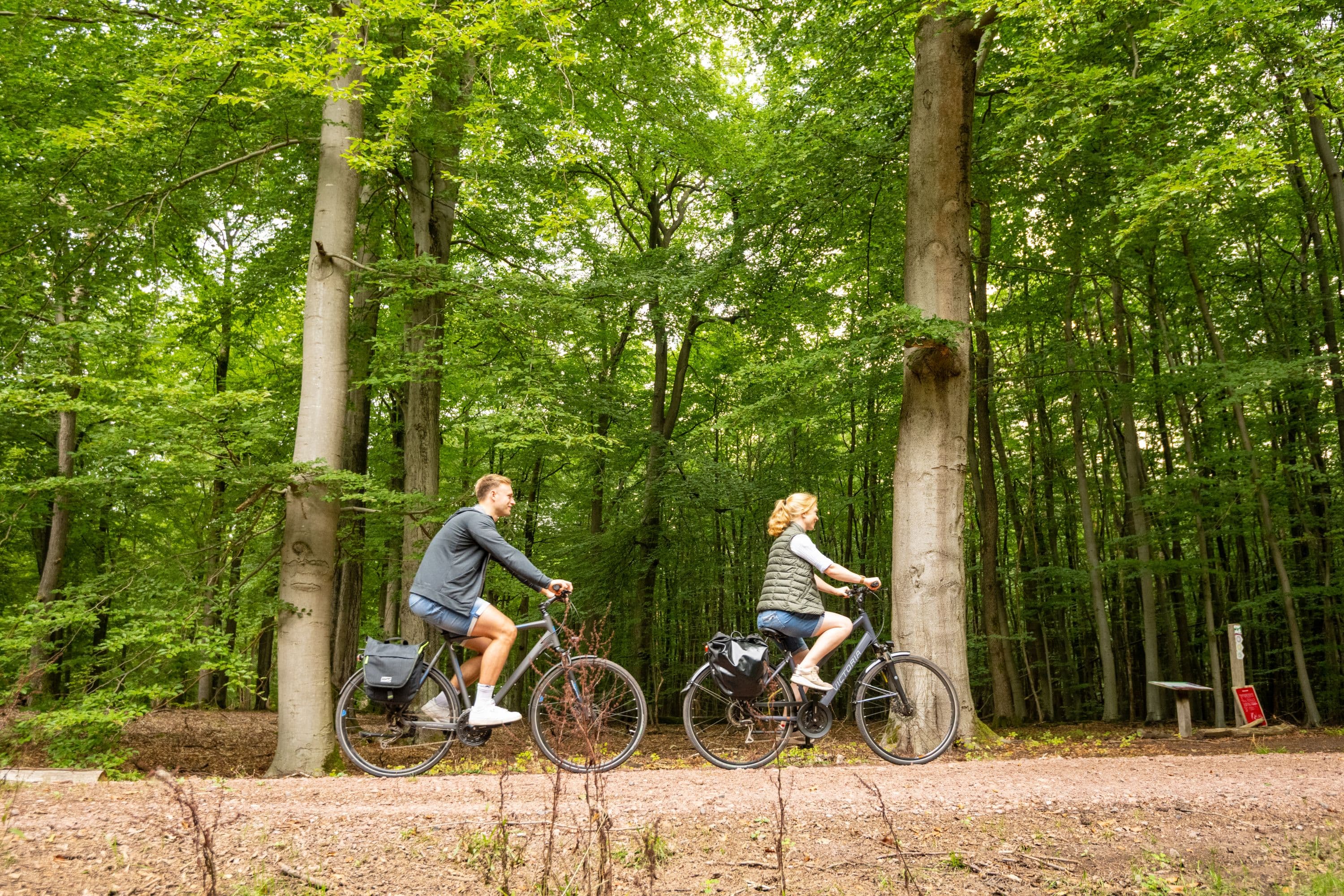 Fahrradfahren im Lüßwald