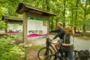 Fahrradfahren im Lüßwald