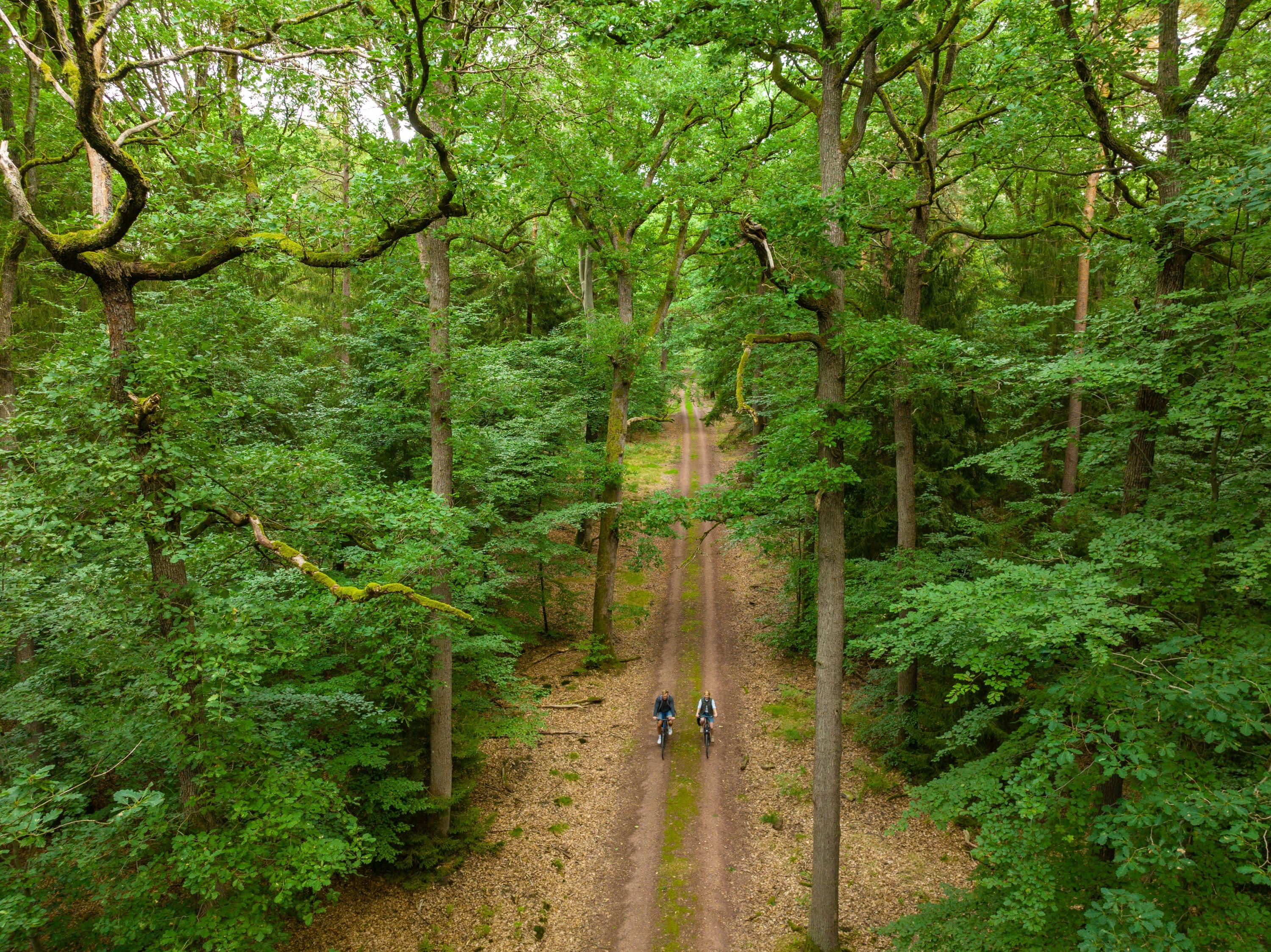 Fahrradtour Lüßwald