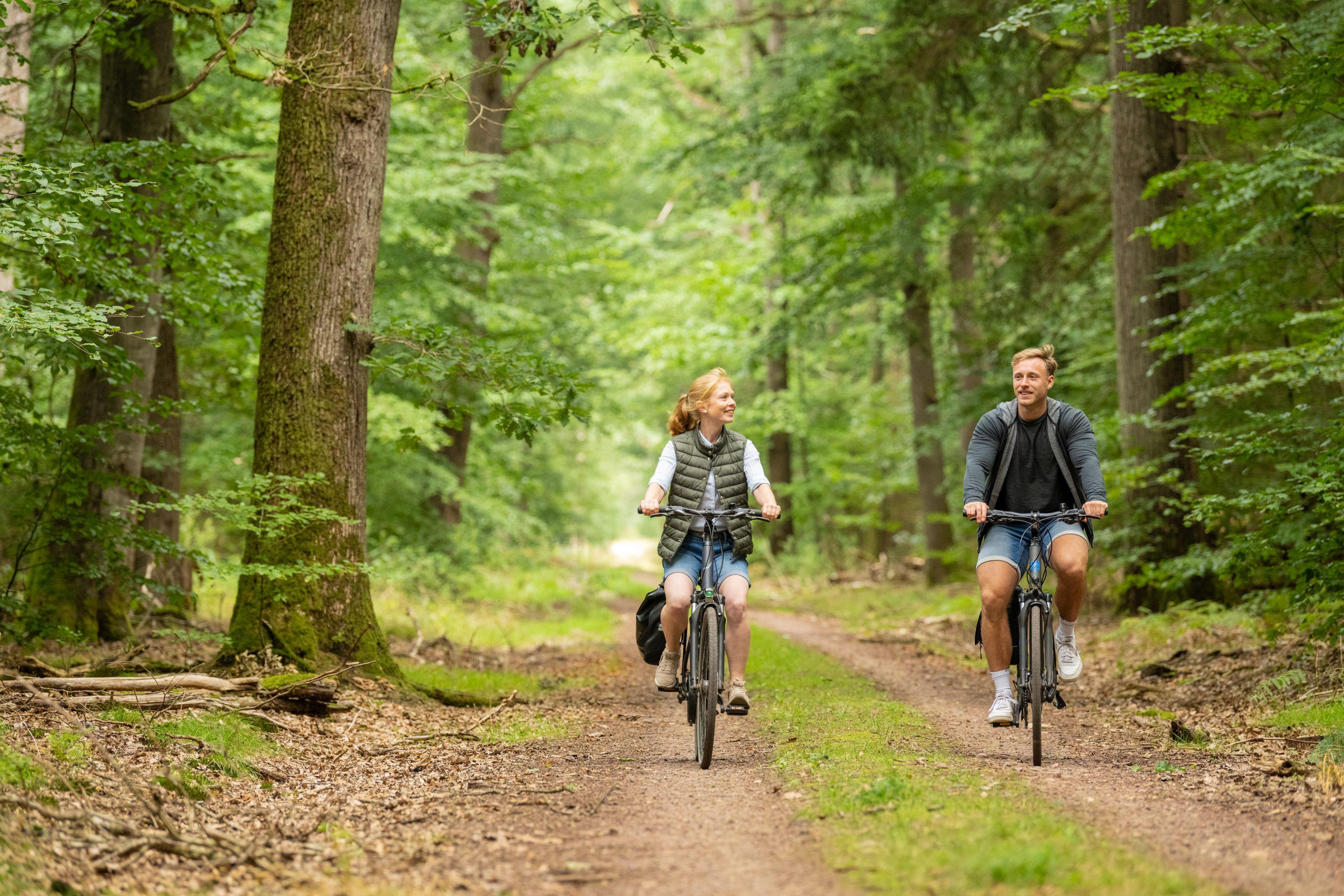 Fahrradtour durch den Lüßwald