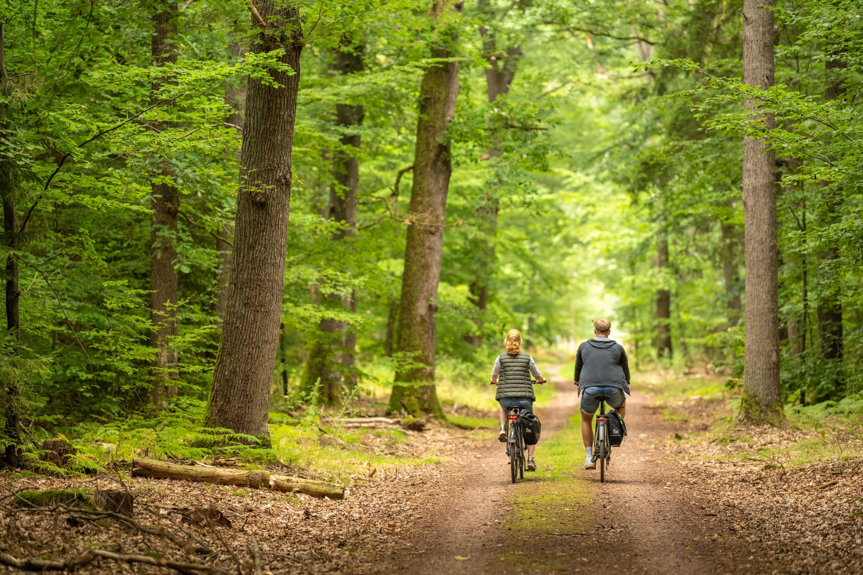Fahrradtour durch den Lüßwald