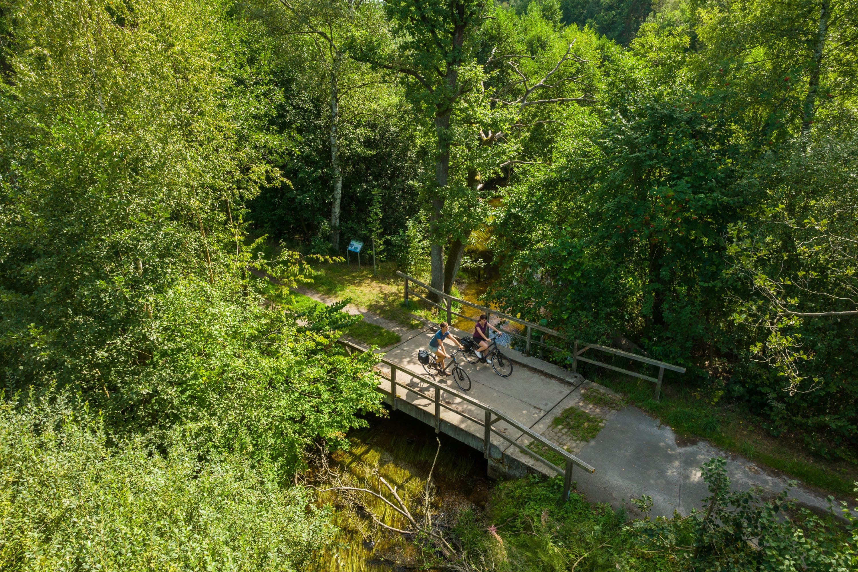 Fahrradfahren Lutter Eschede Südheide
