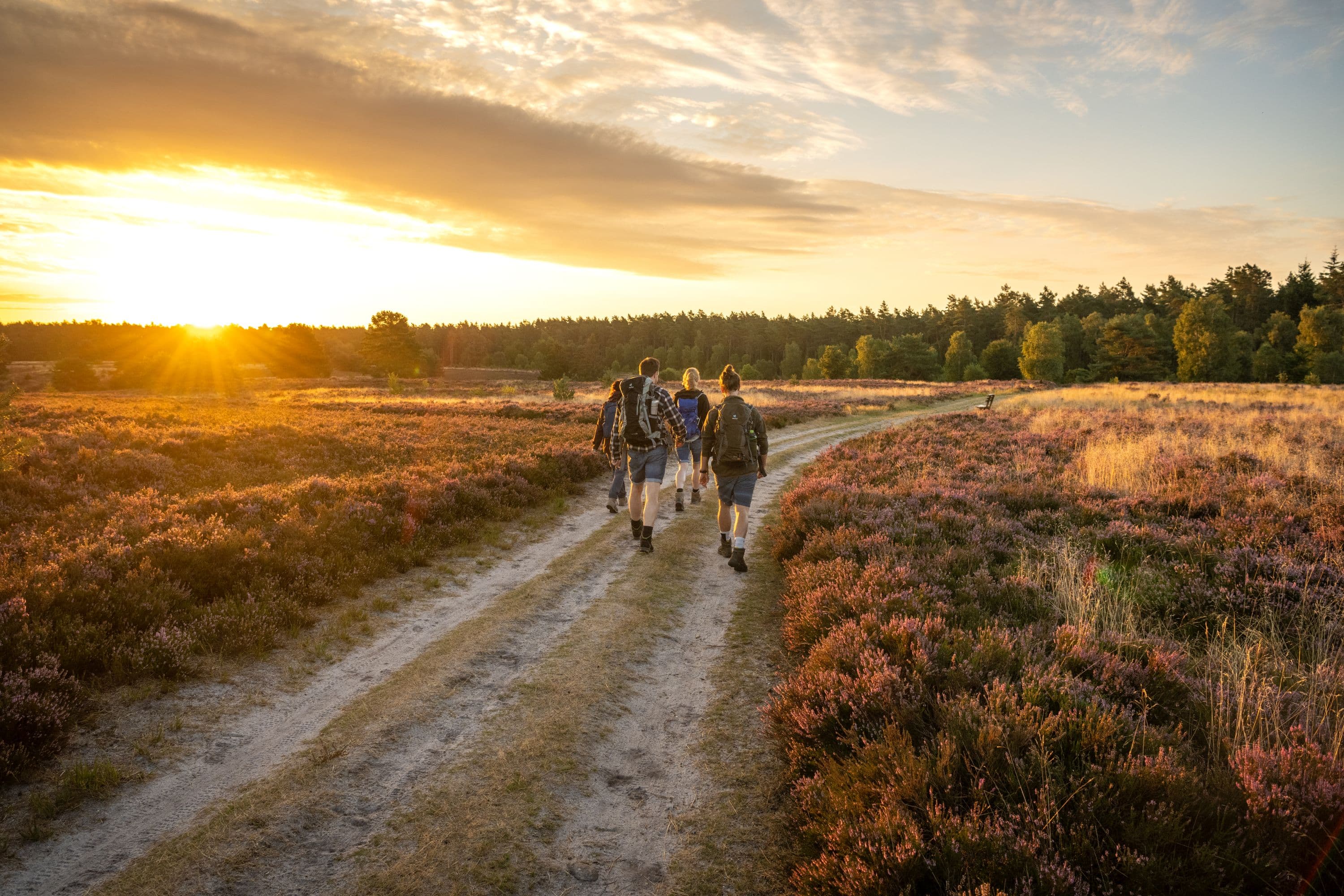 Töps Heide Hanstedt Wandern