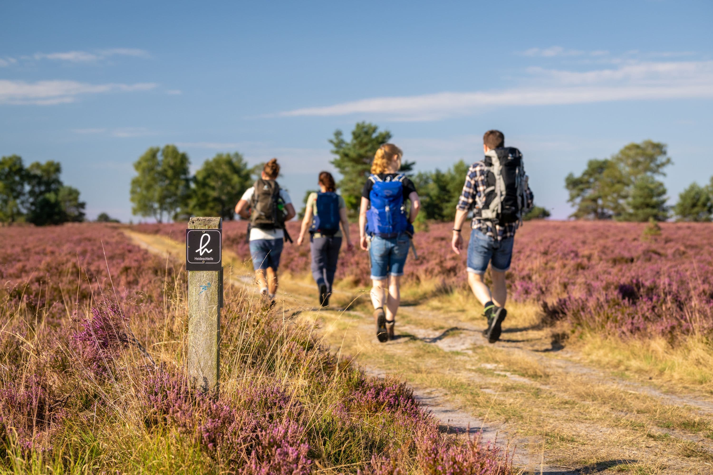 Töps Heide Hanstedt Wandern&nbsp;