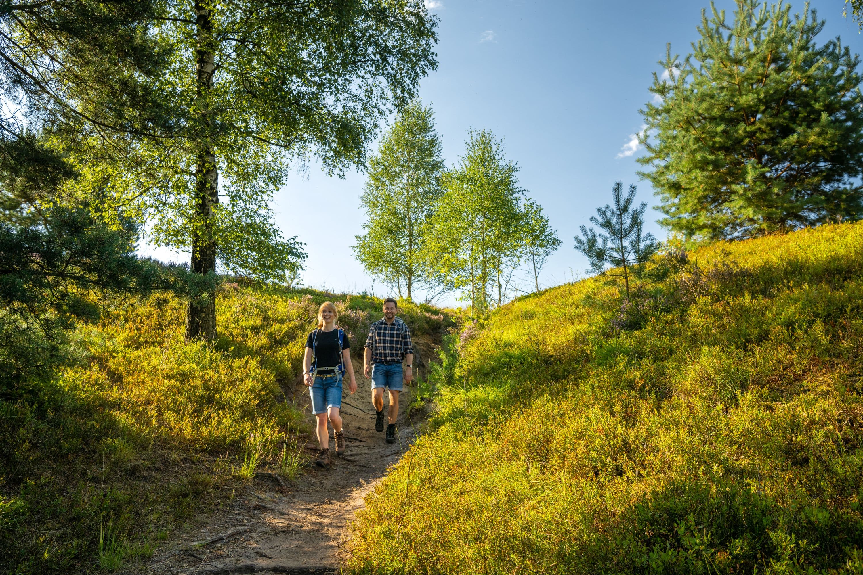 Töps Heide Hanstedt Wald