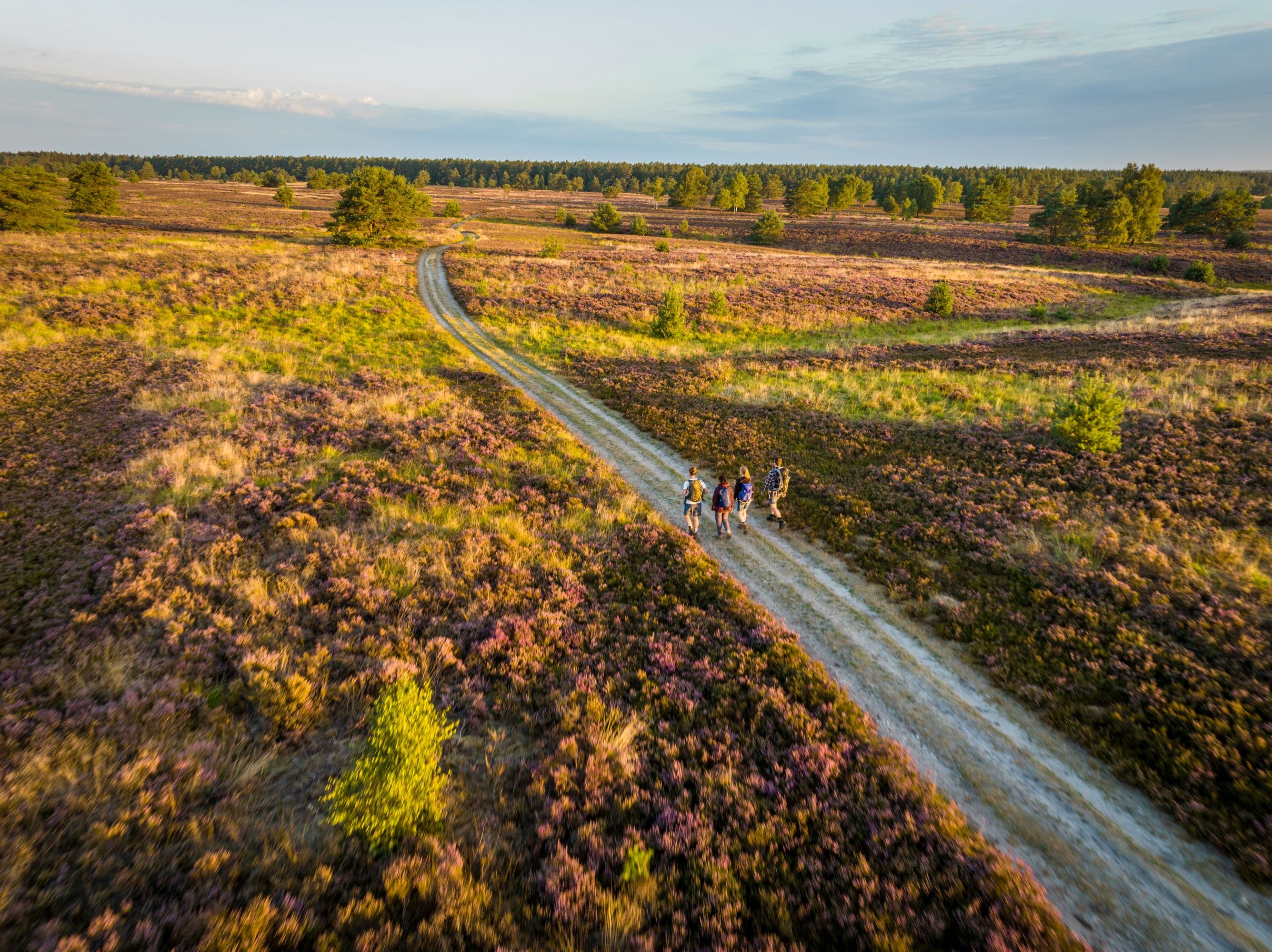 Töps Heide Hanstedt Wandern