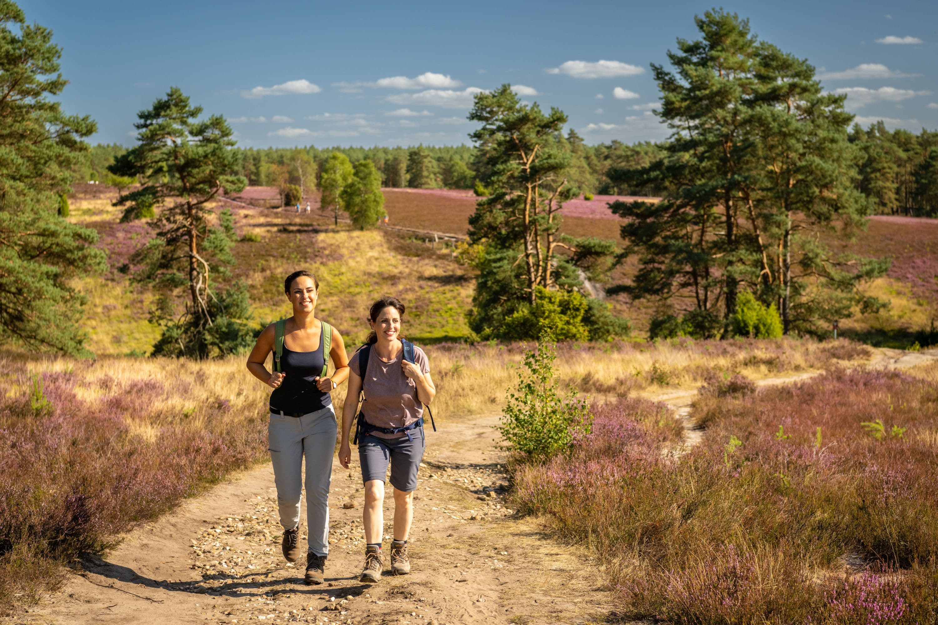 Wandern Tiefental Hermannsburg Südheide