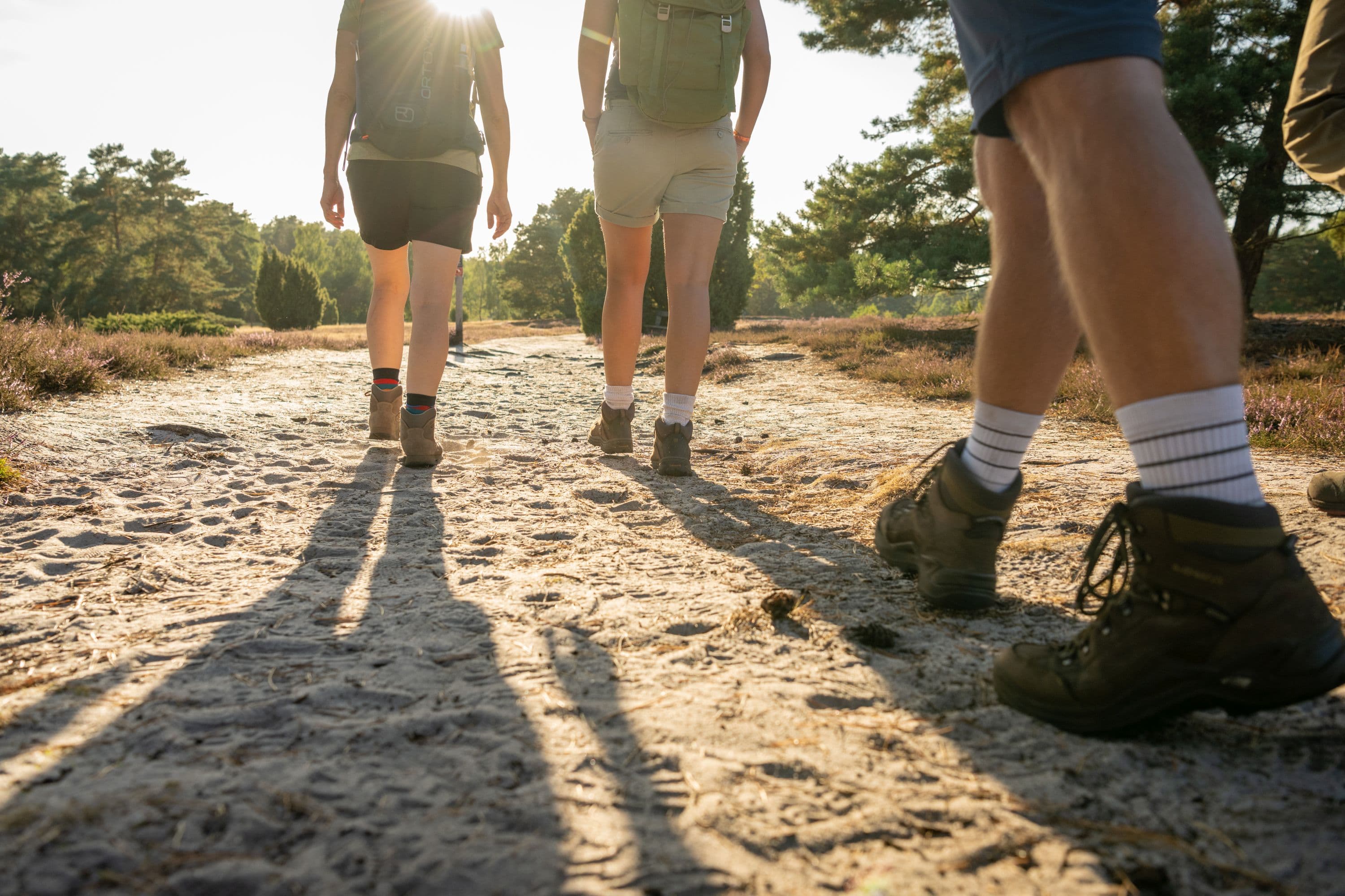 Wandern in der Misselhorner Heide