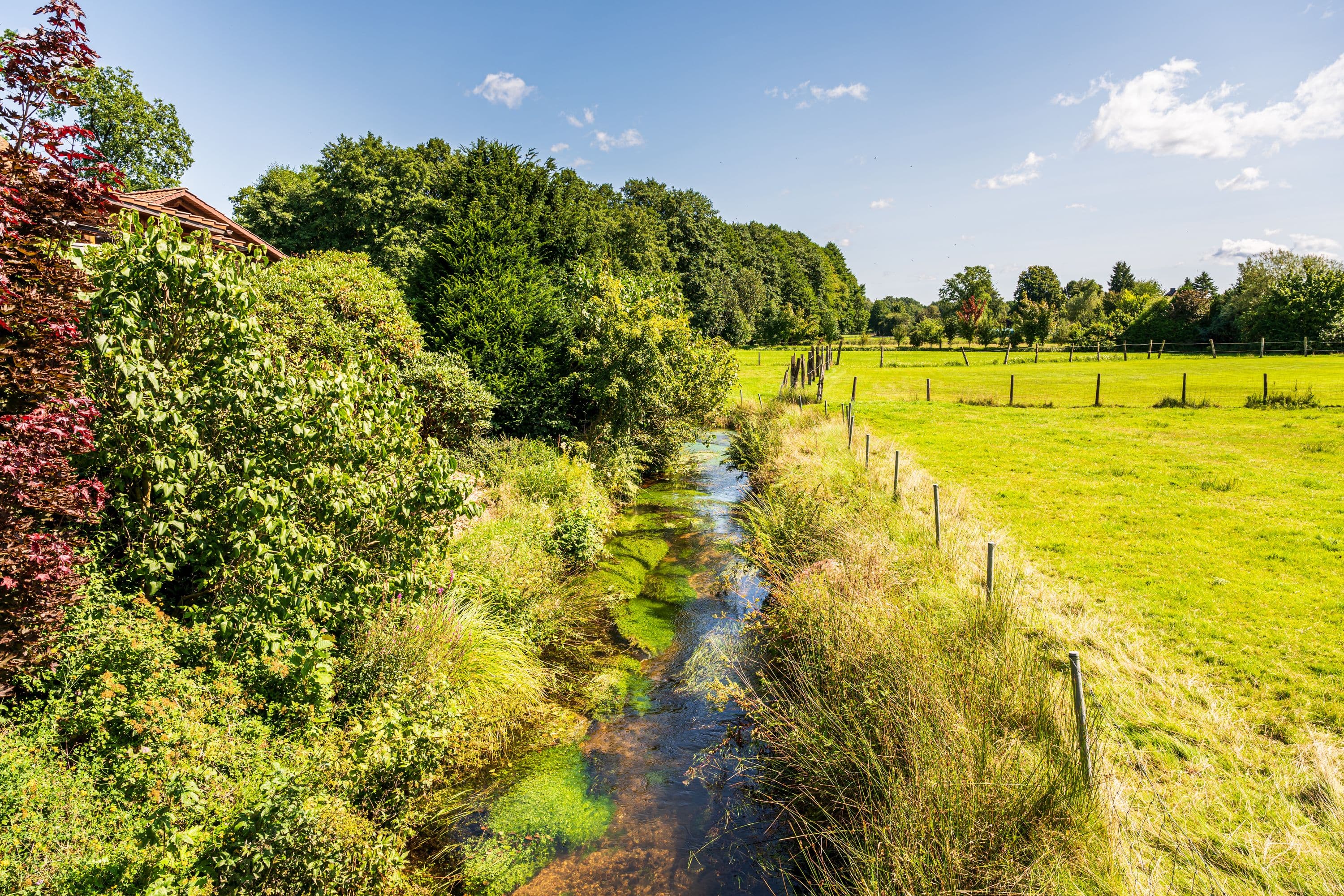 Der Weesener Bach schlängelt sich durch die abwechslungsreiche Landschaft