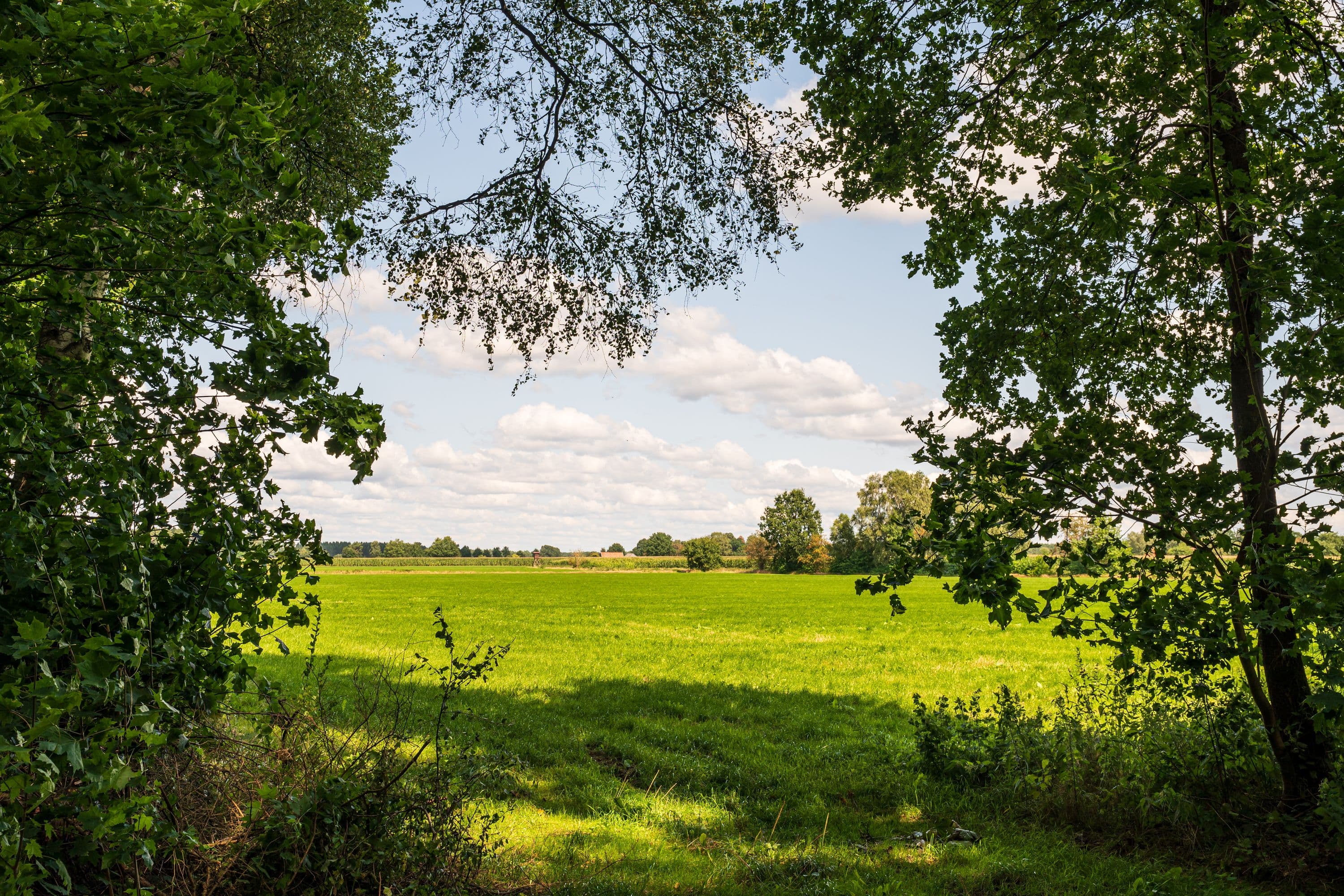 Wander entlang weiter grüner Wiesen