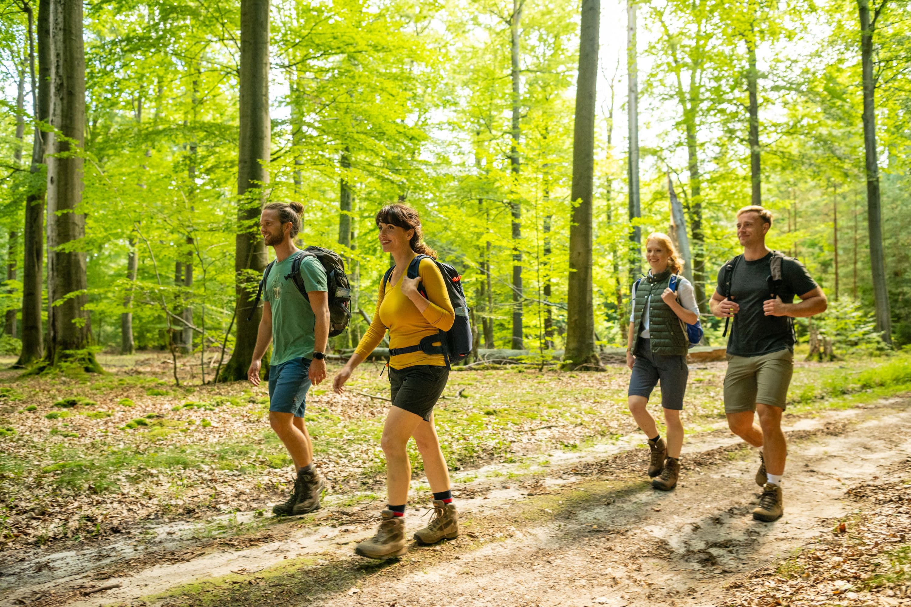 Wandern im Lüßwald