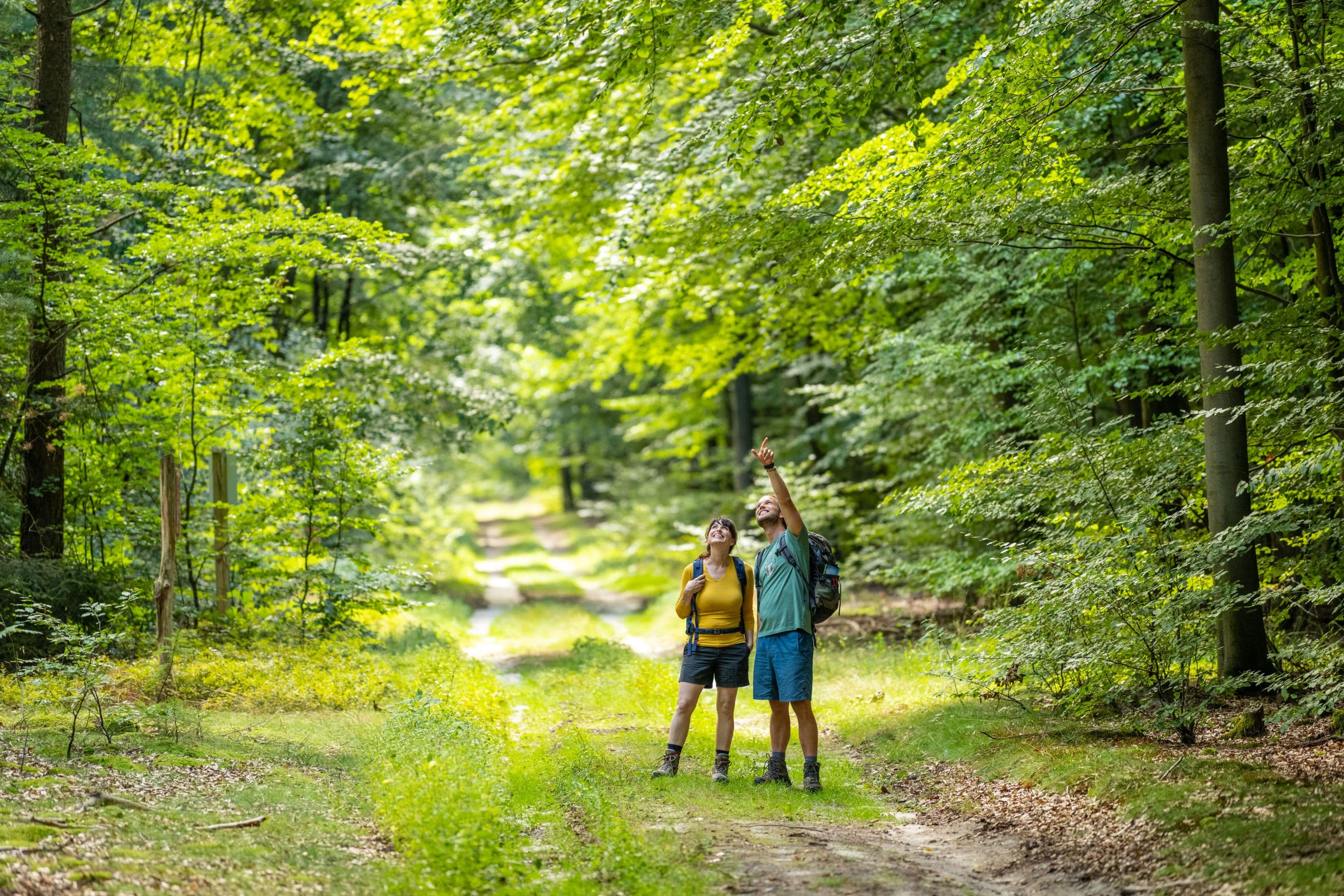 Wandern im Lüßwald