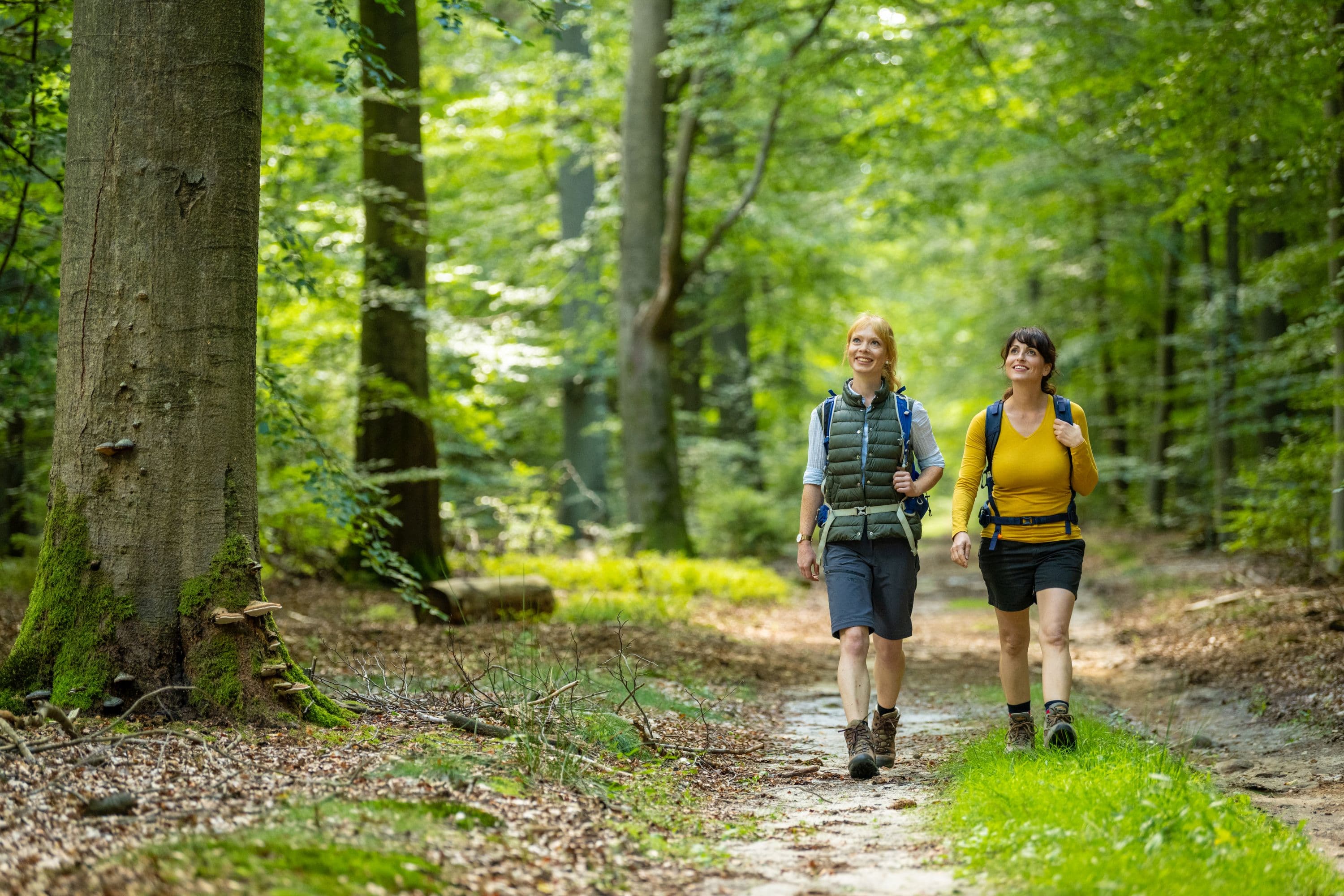 Wandern im Lüßwald