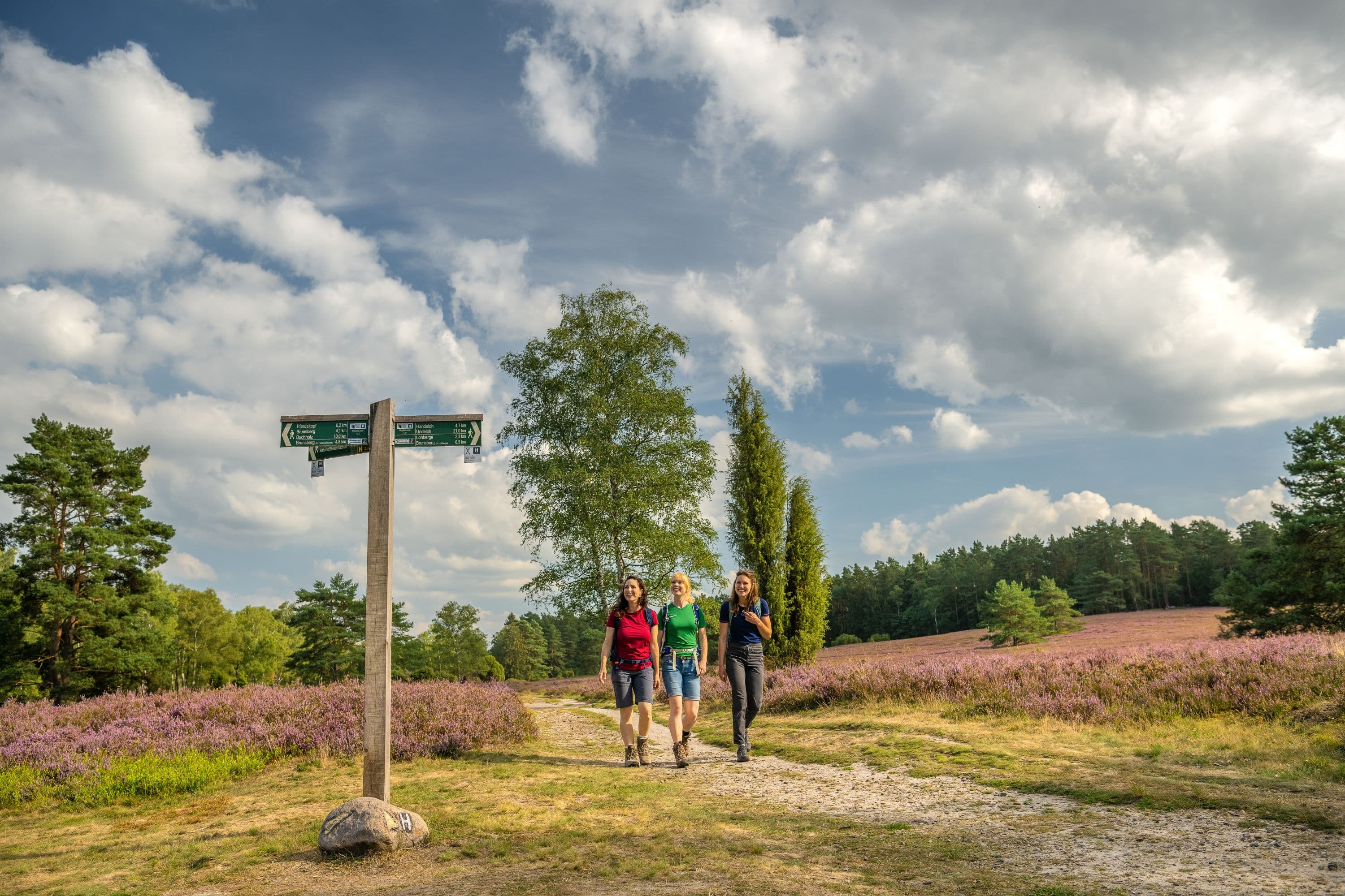 die heideschleife büsenbachtal ist gut ausgeschildert für eine wanderung