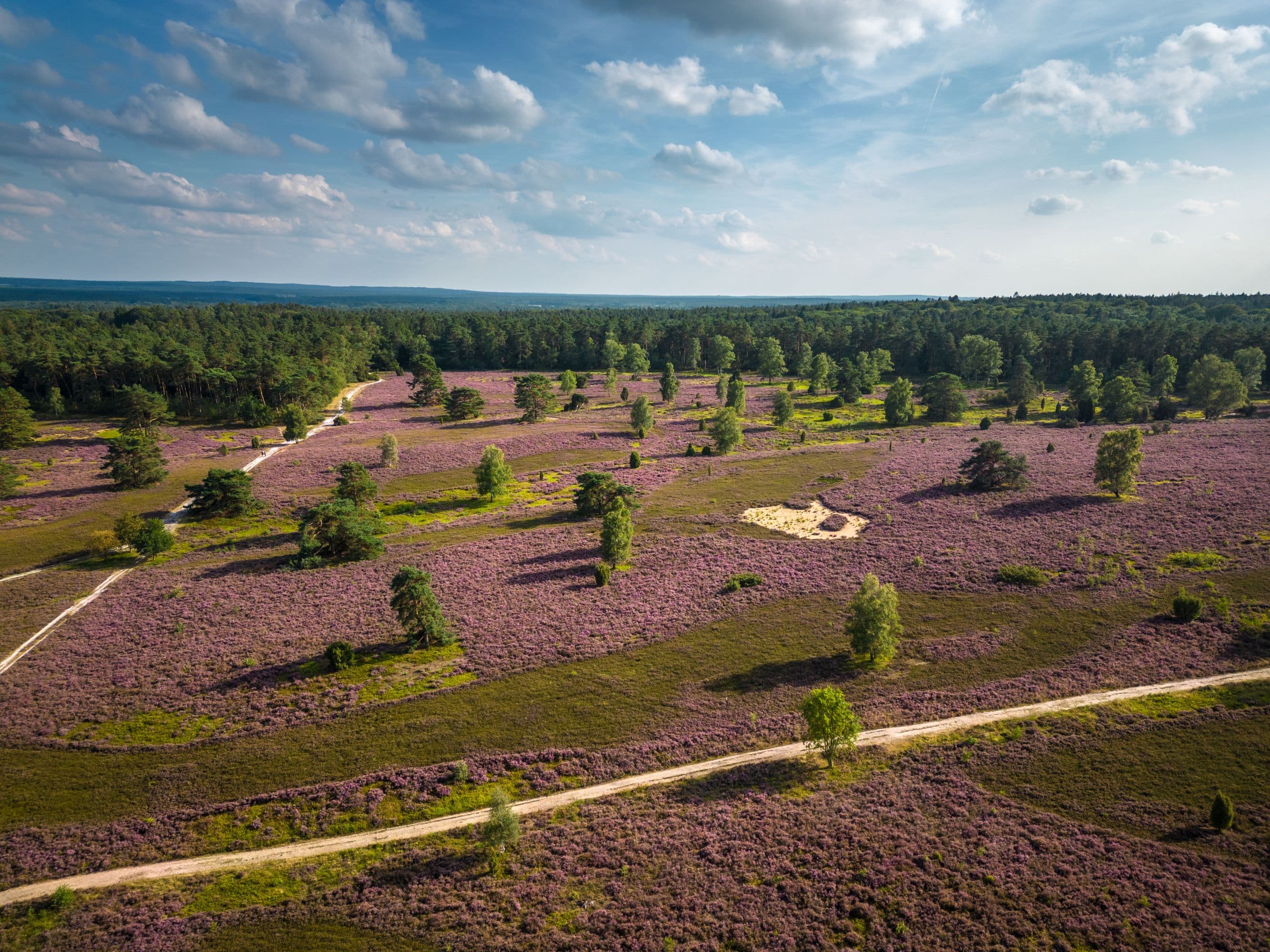 Toller Rundwanderweg durch das Büsenbachtal im Norden der Lüneburger Heide