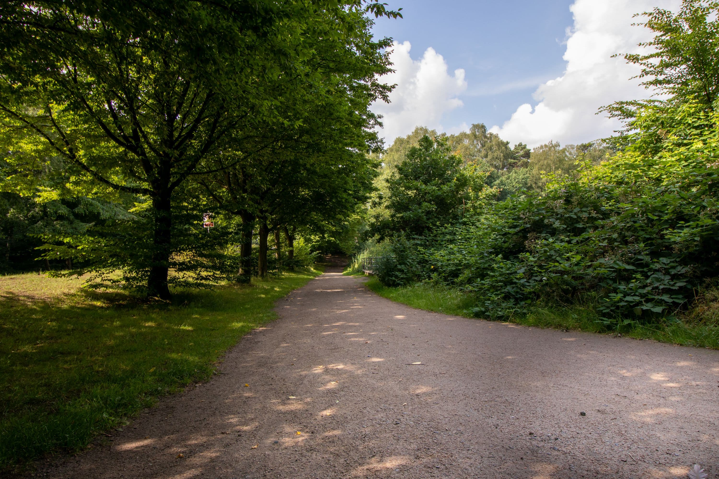 Stadtteich Buchholz in der  Nordheide
