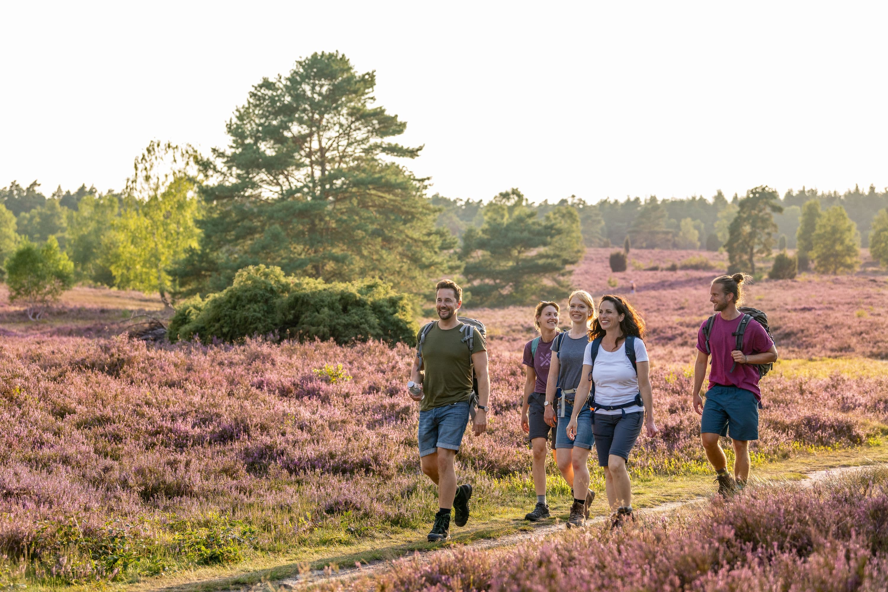 Büsenbachtal Handeloh wandern Rucksack Heideblüte