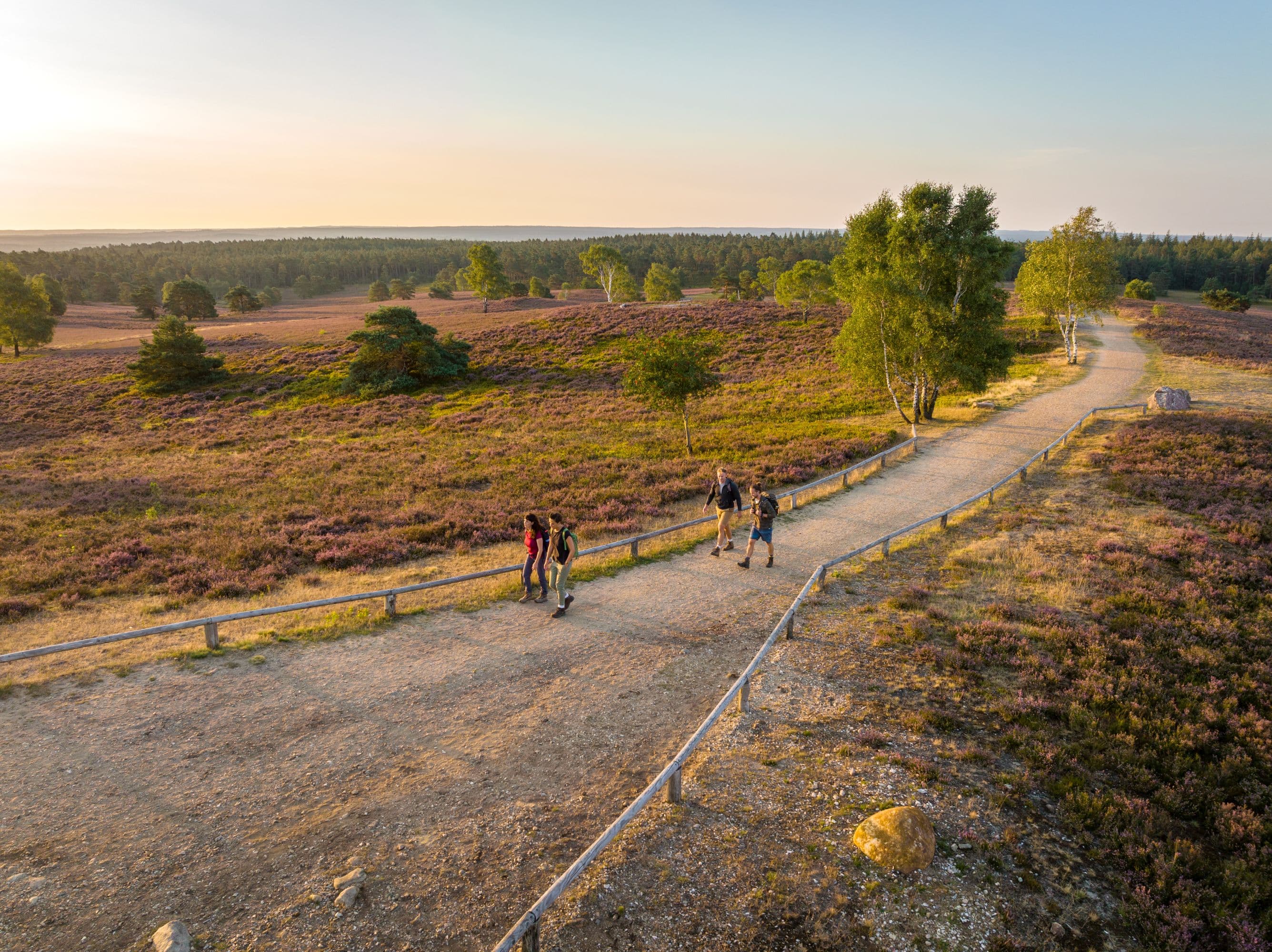 Brunsberg Sprötze zum Sonnenuntergang