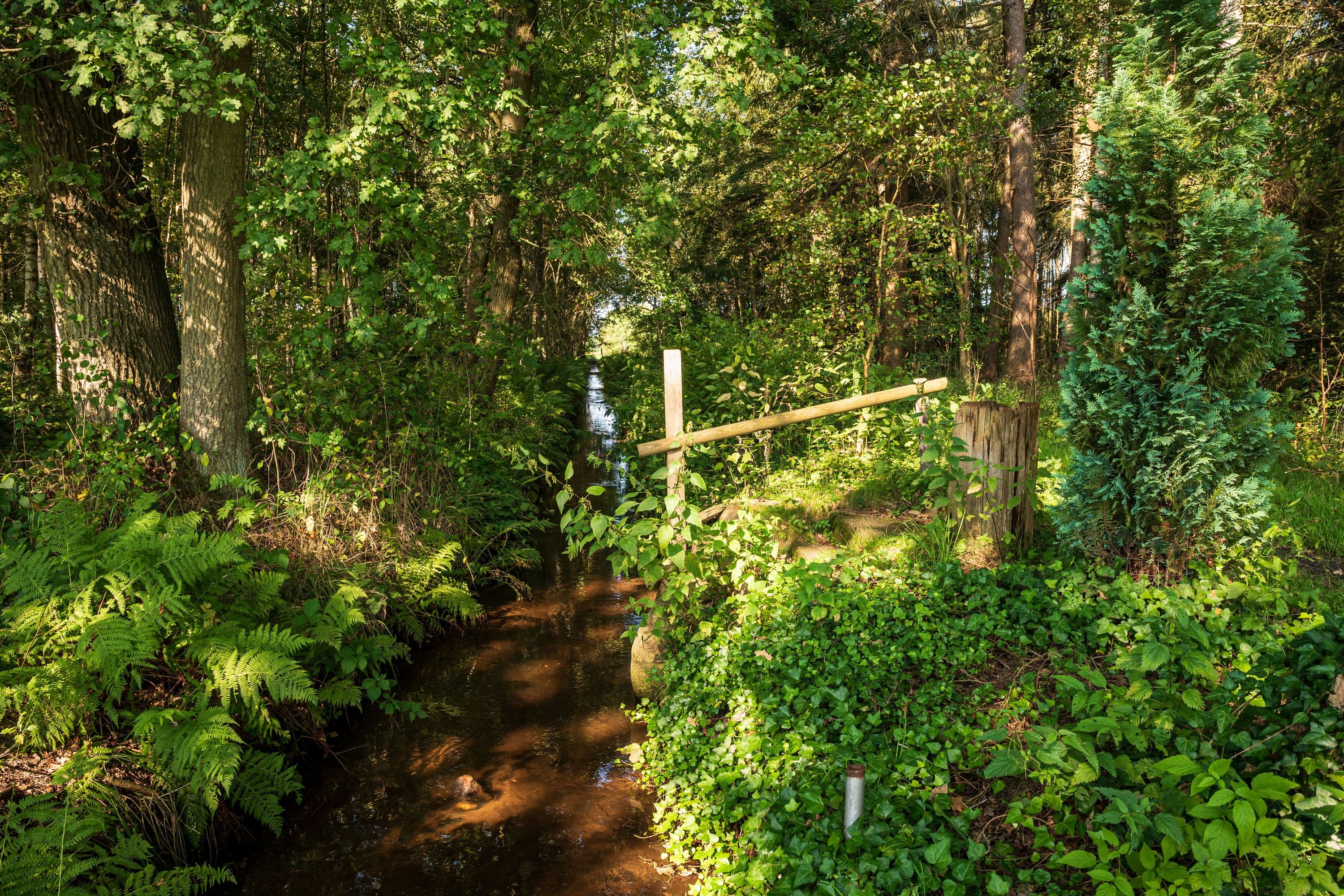Wandern entlang schmaler Flüsse und Bäche