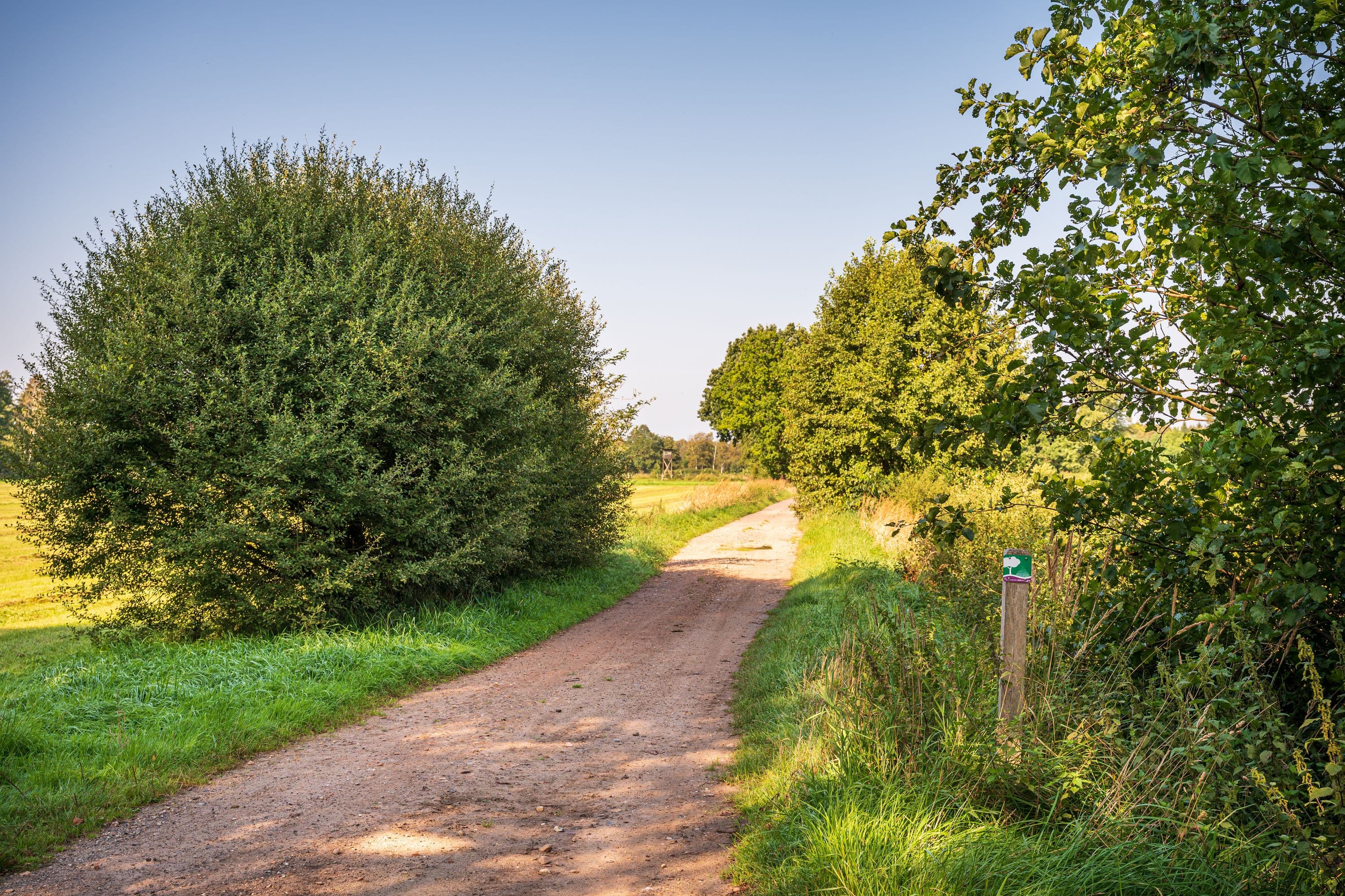 Wanderweg durch weite Wiesen und Felder