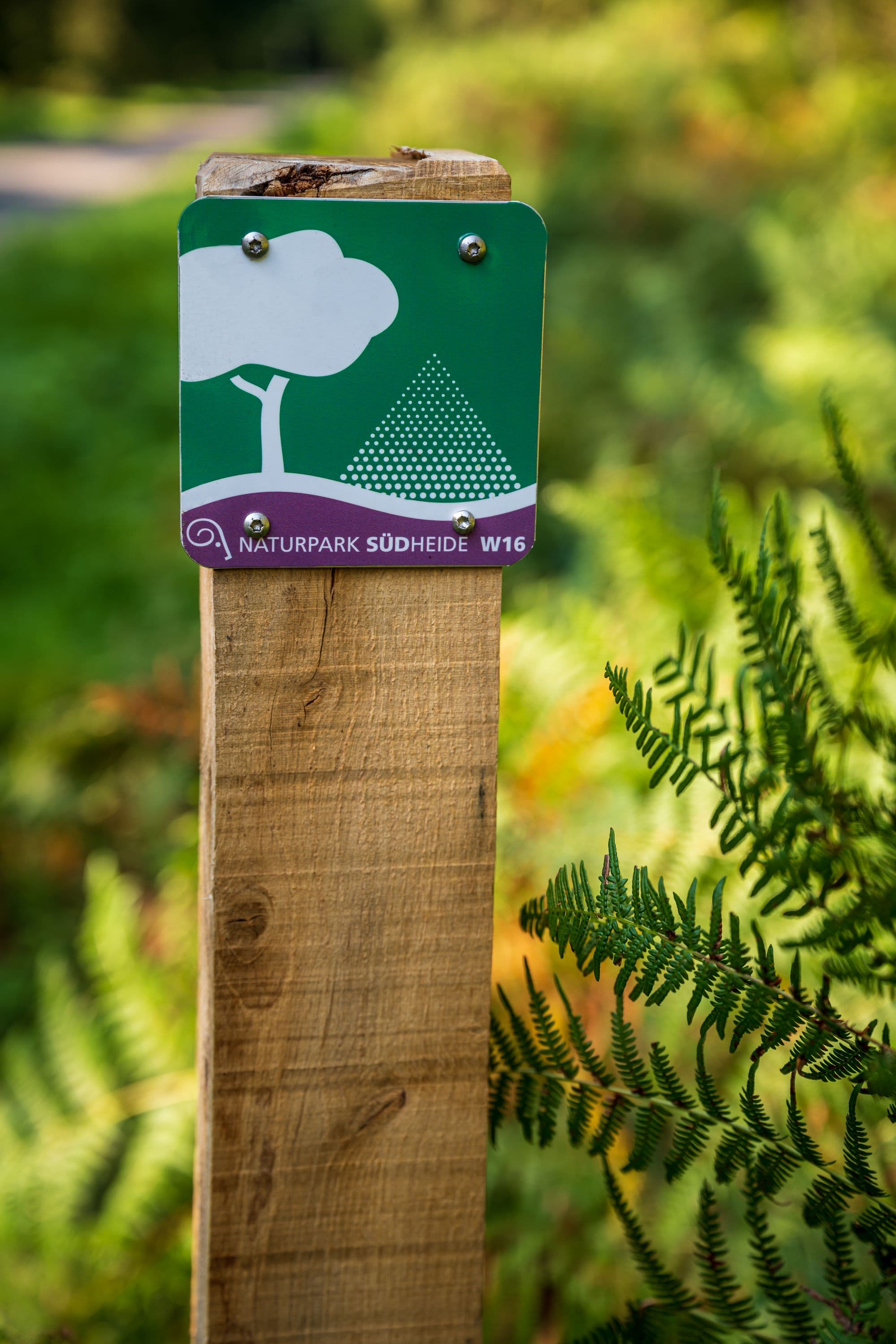 Die drei unterschiedlich langen Rundwege sind gut beschildert