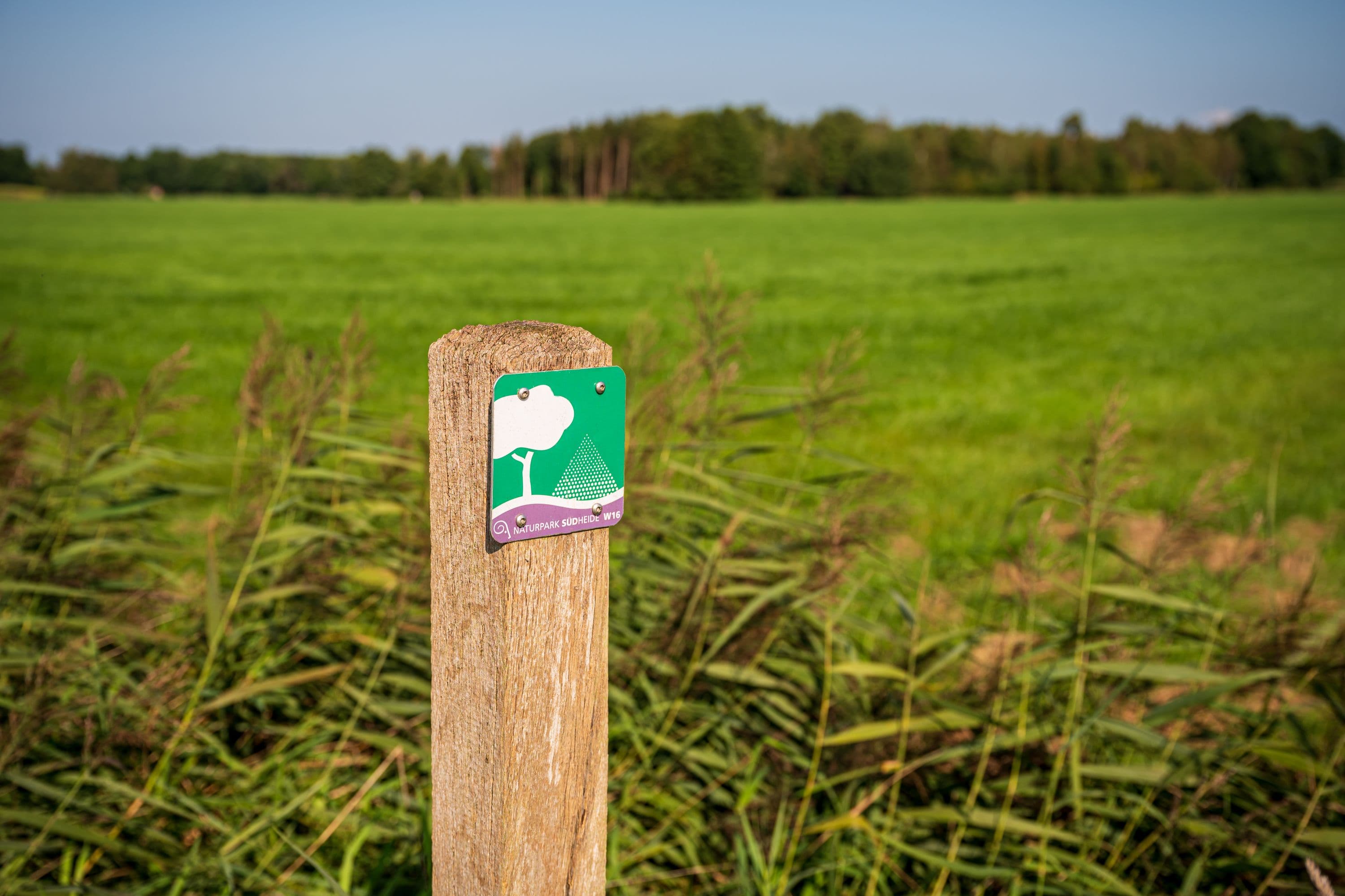 Wegmarkierungen am Wegesrand zeigen die Route des Rundweges