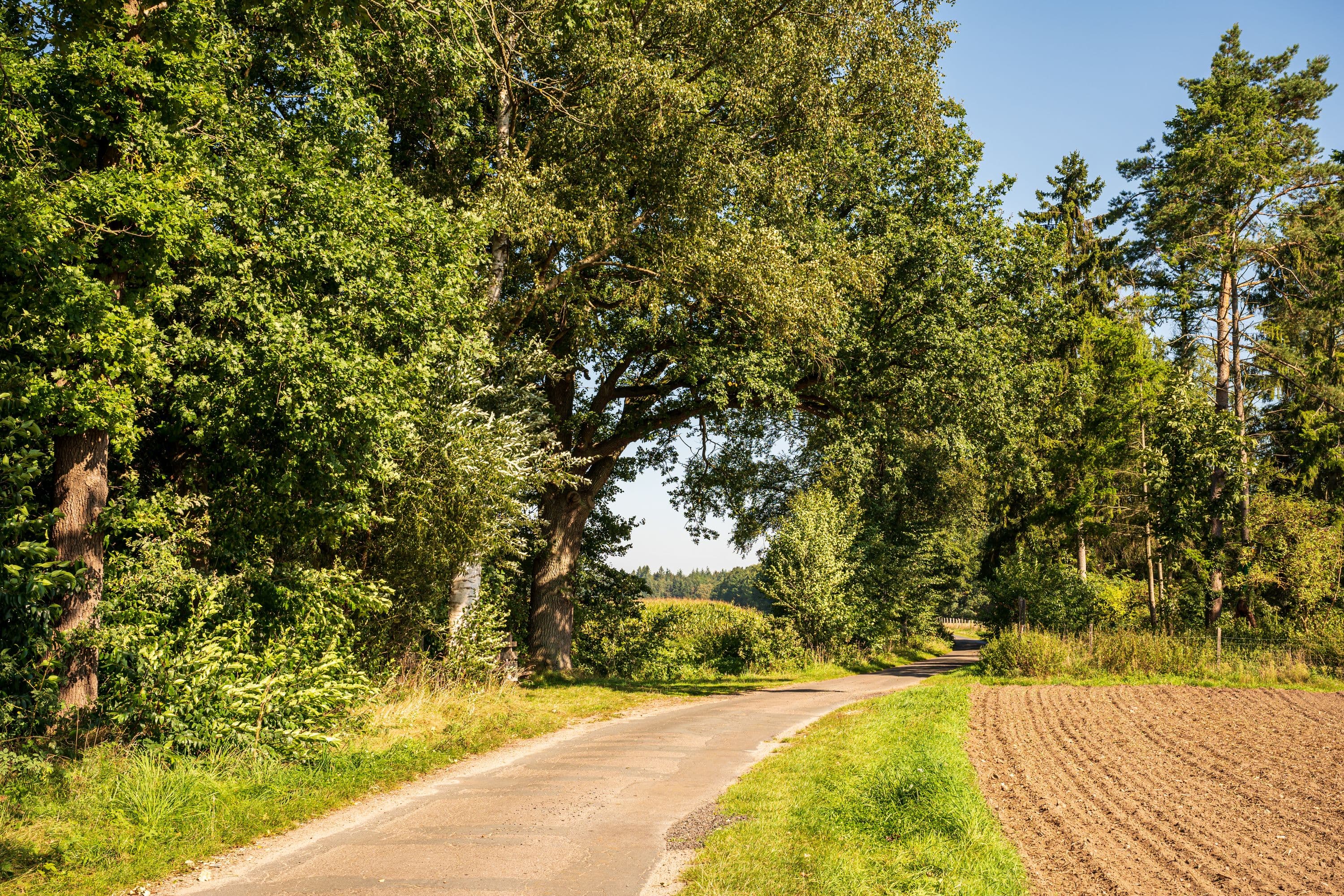 Der Wanderweg führt entlang weiter Wiesen und Felder