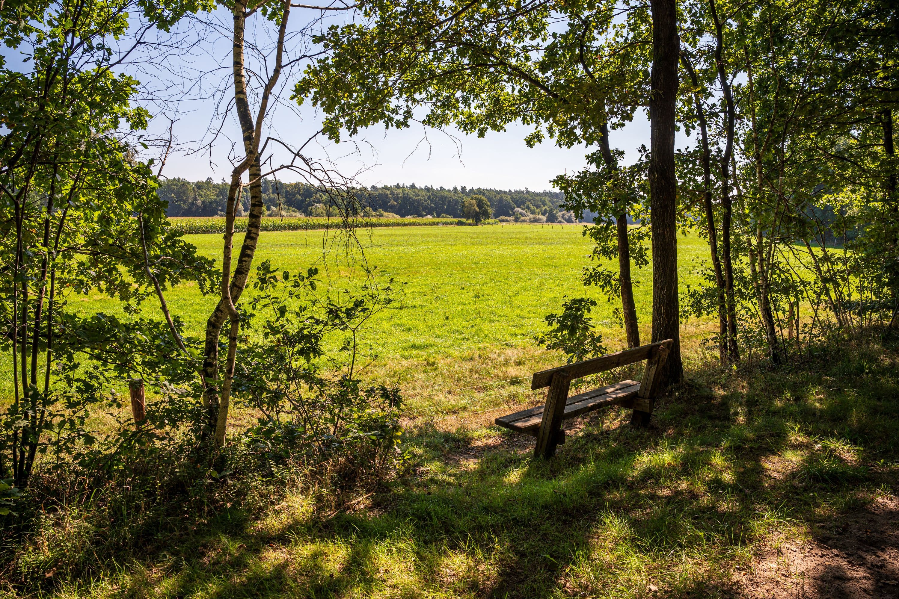 Wandern durch weite Feld- und Wiesenlandschaften