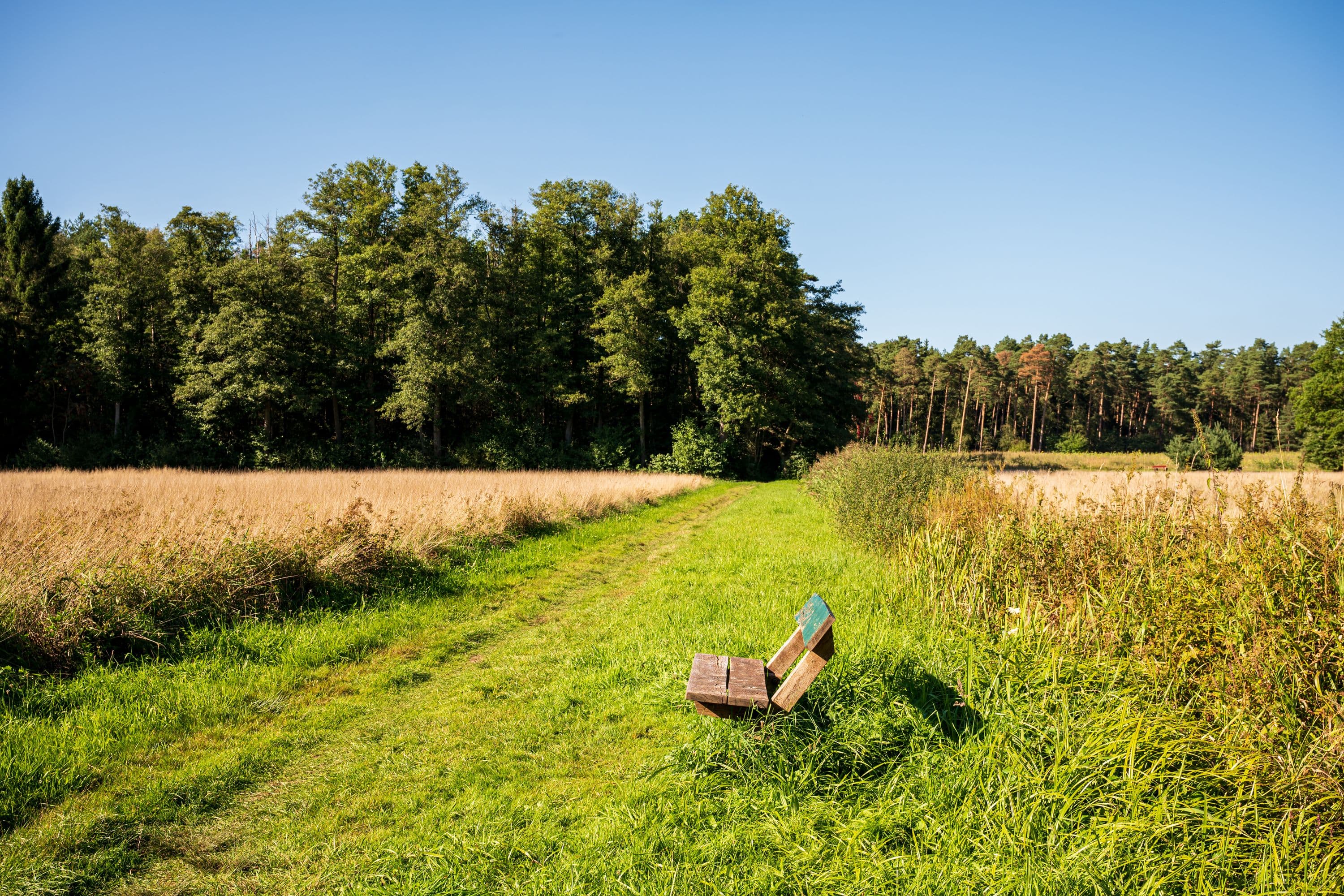 Bänke laden zum Rasten während der Wandertour ein