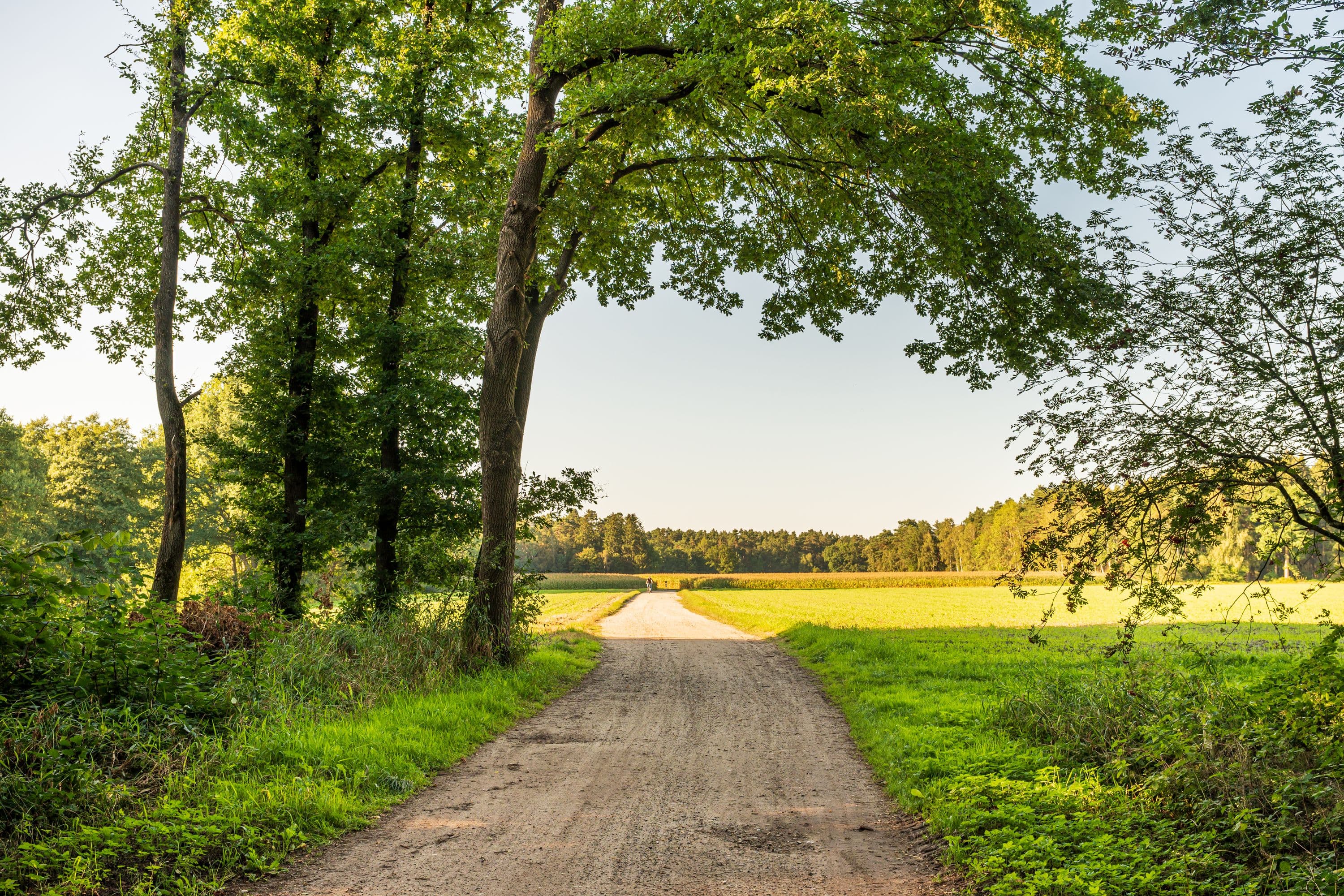 Wanderweg durch weite Feld- und Wiesenlandschaft