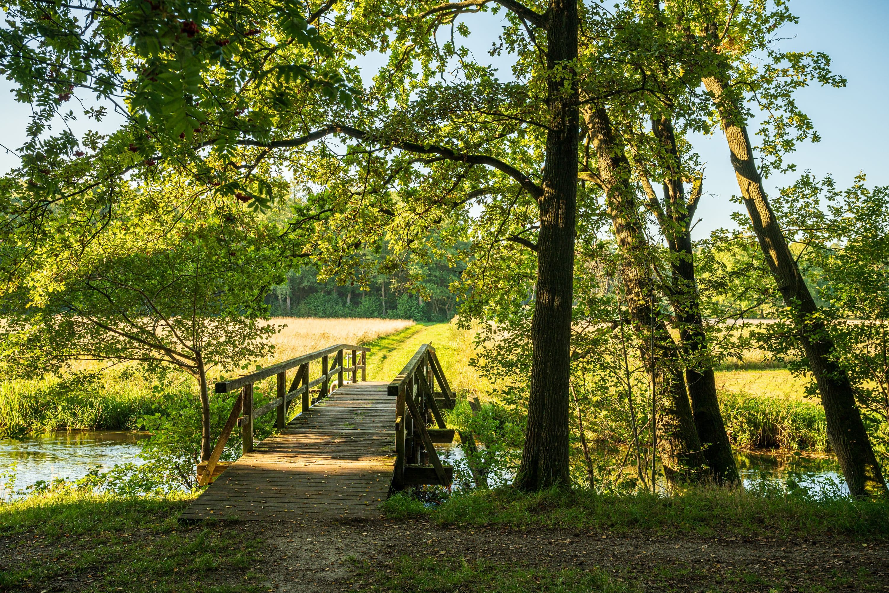 Idyllische Brücke über die Örtze