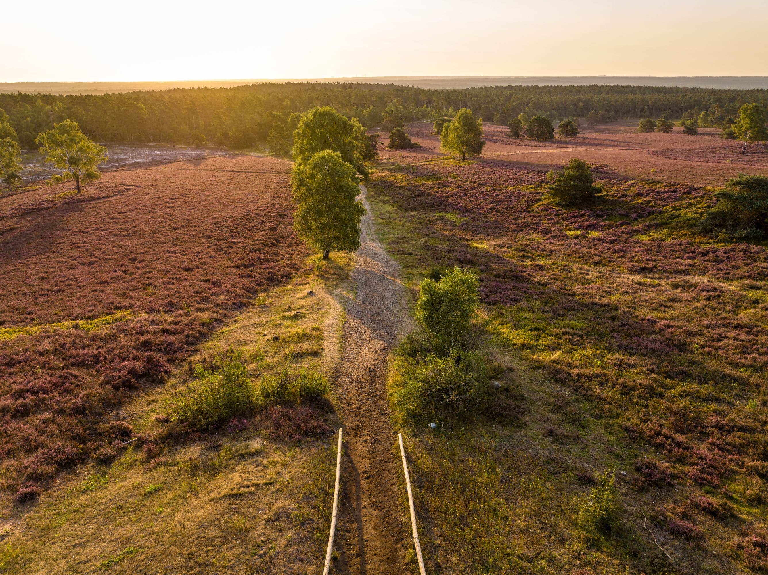 Brunsberg Sprötze Sonnenuntergang