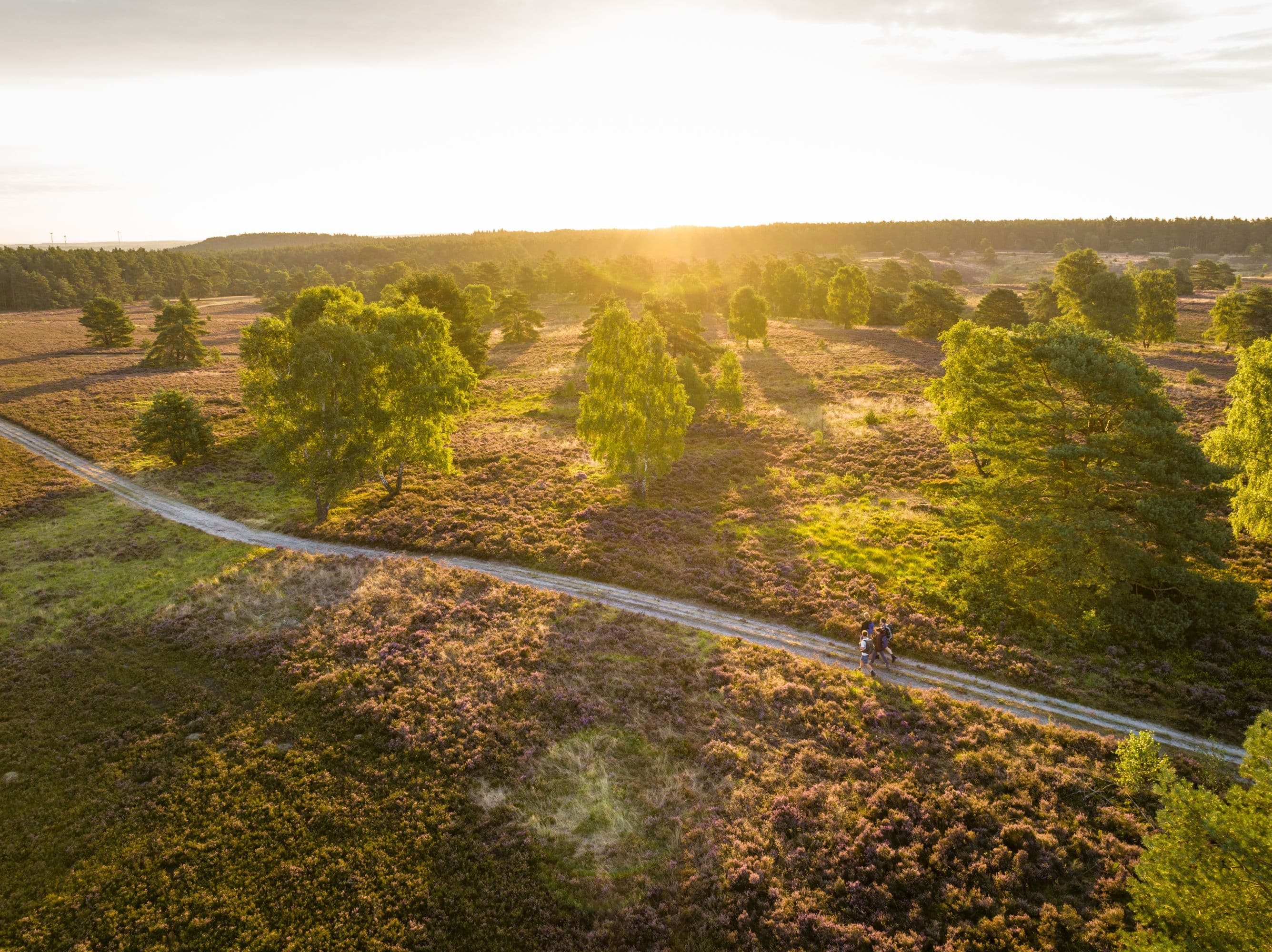 Töps Heide Hanstedt Sonnenuntergang