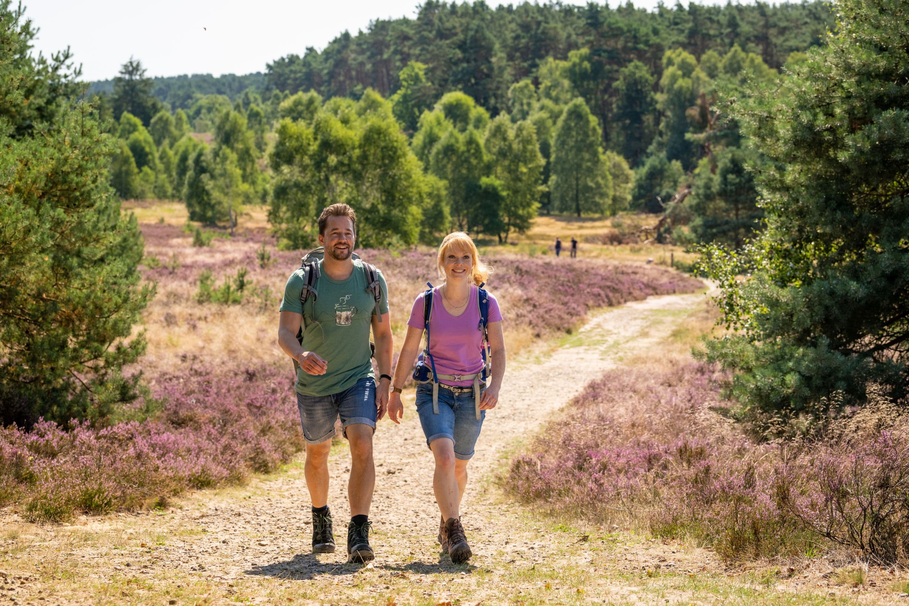 Weseler Heide Undeloh Wandern