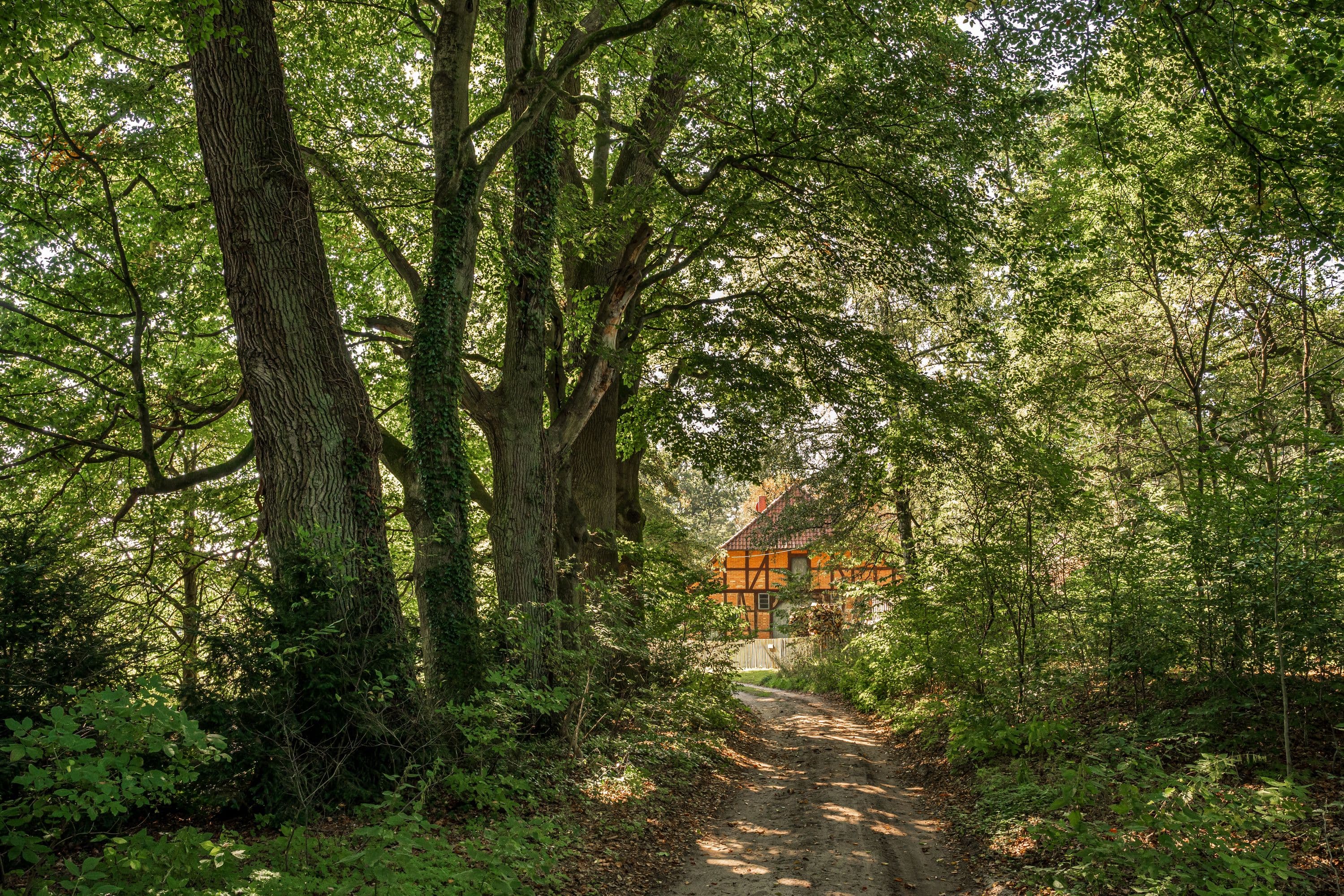 Denkmalgeschütztes Forsthaus am Wanderweg
