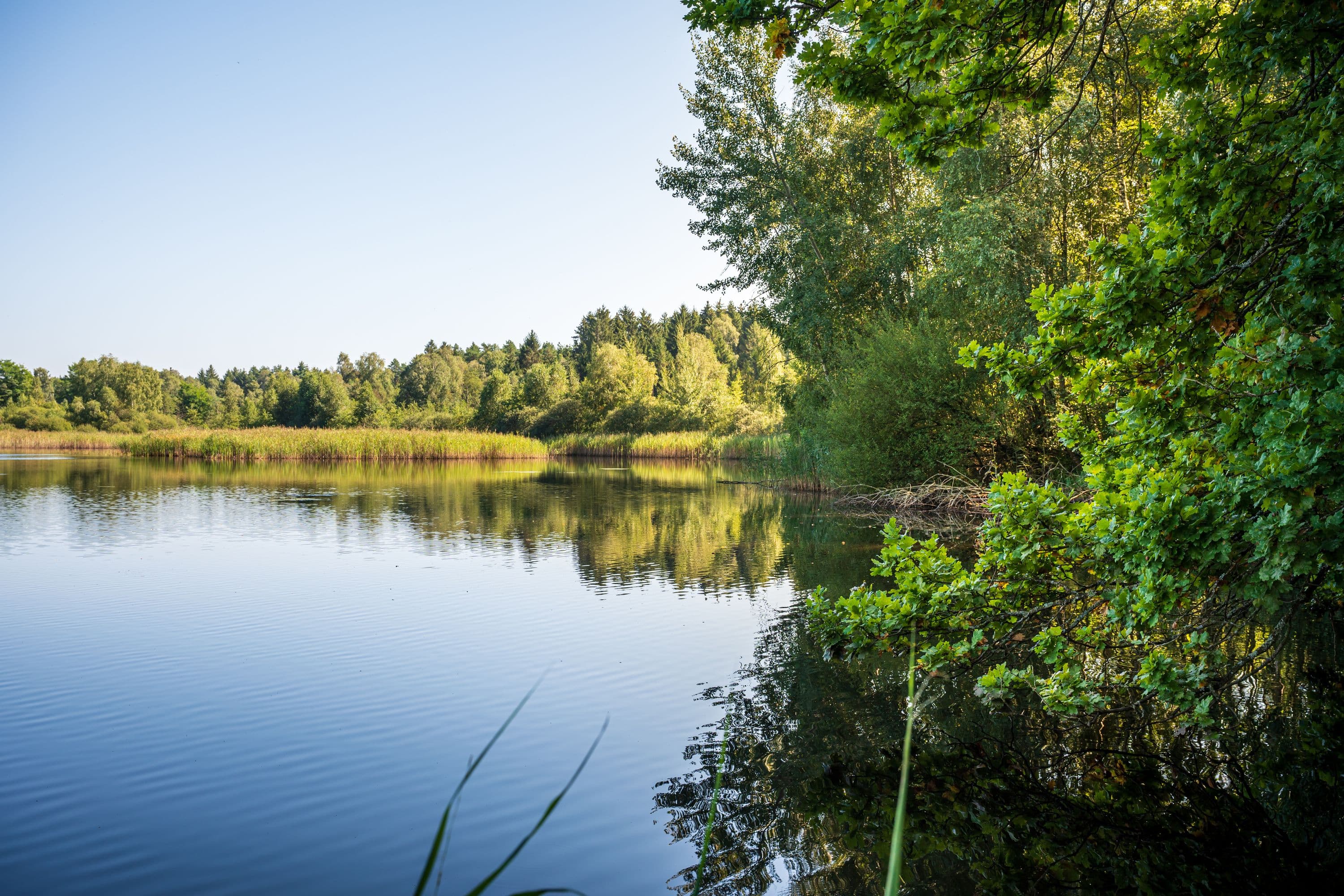 wandern entlang einer weiten Seenlandschaft