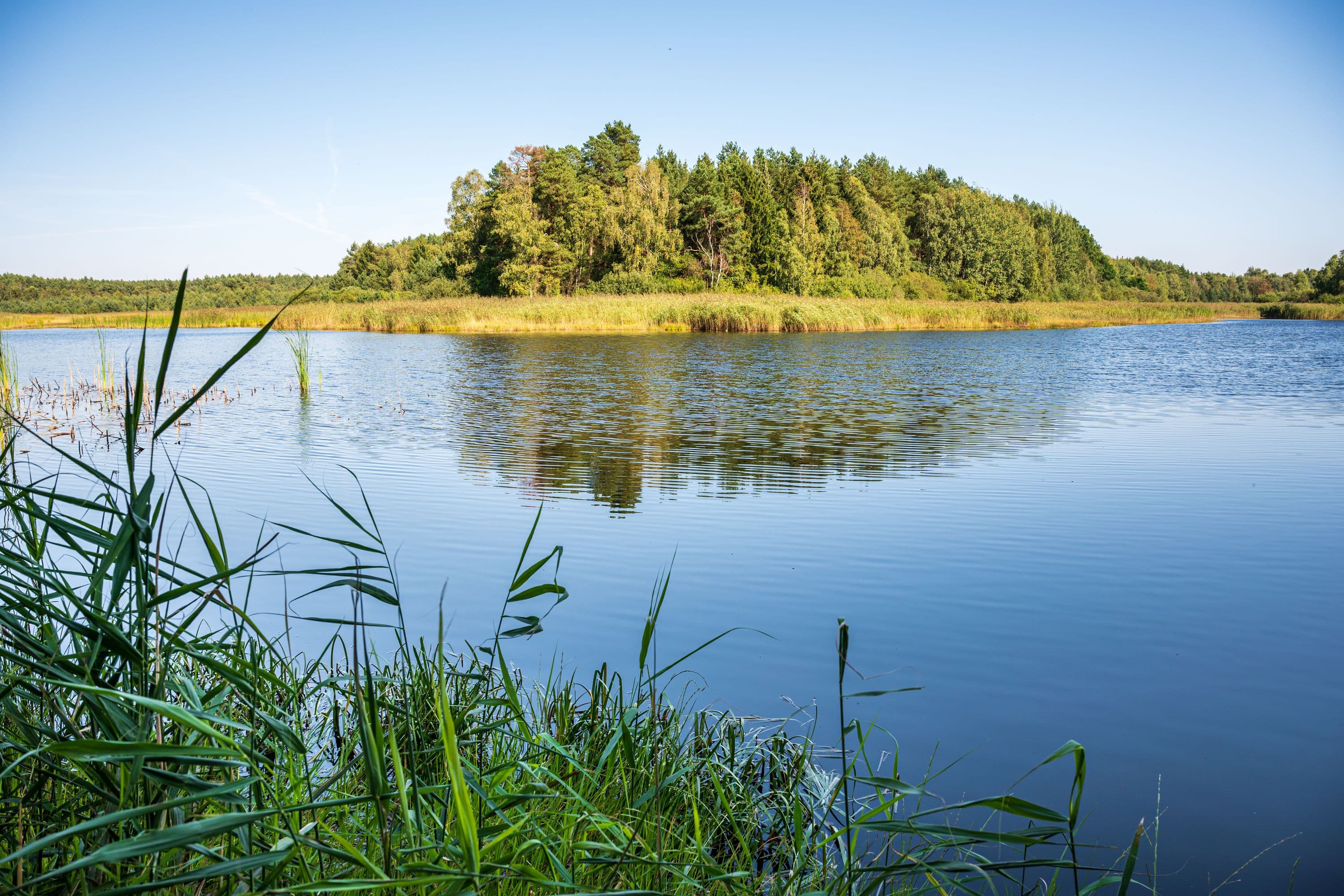 wandern entlang herrlicher Seenlandschaft