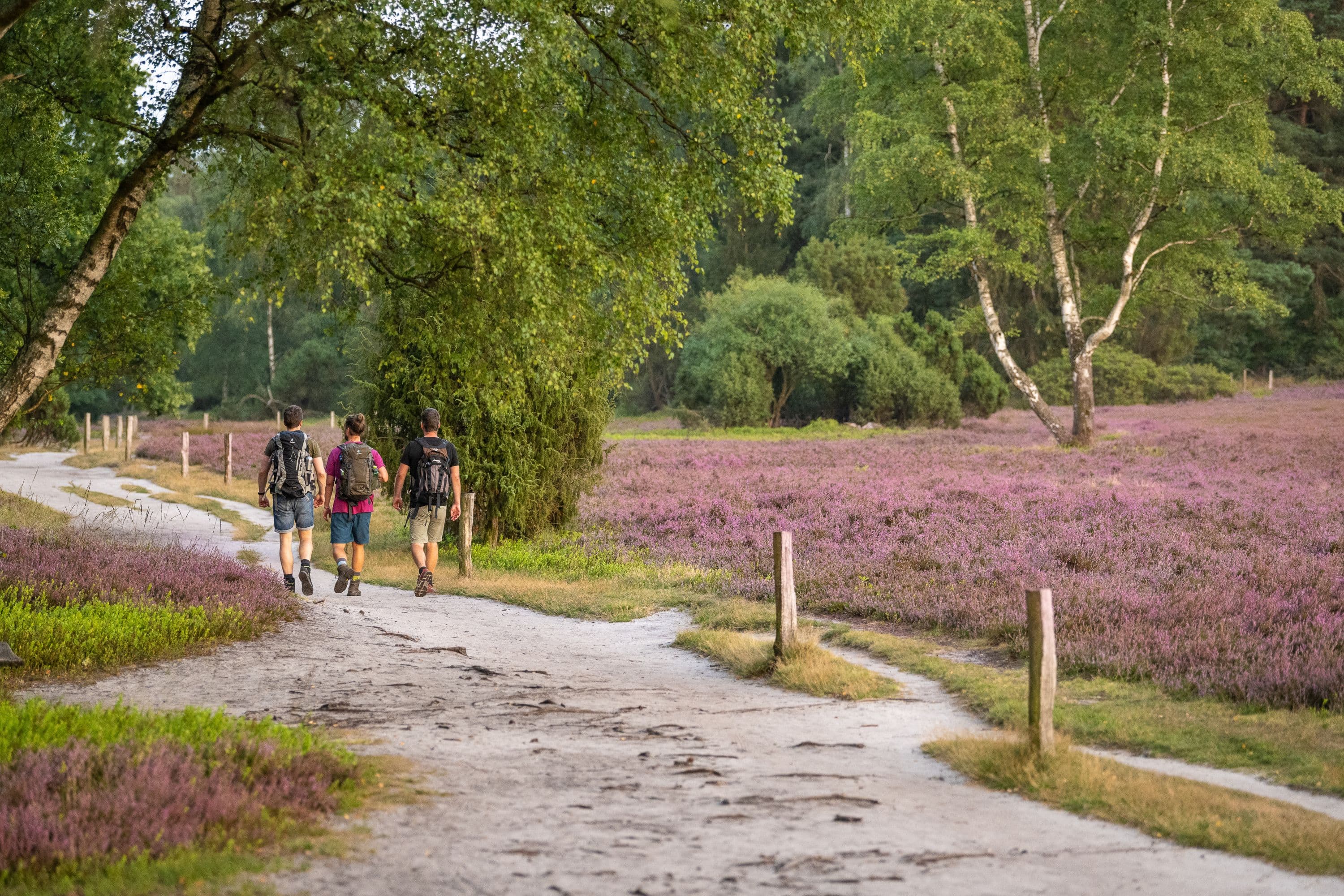 Büsenbachtal Handeloh wandern