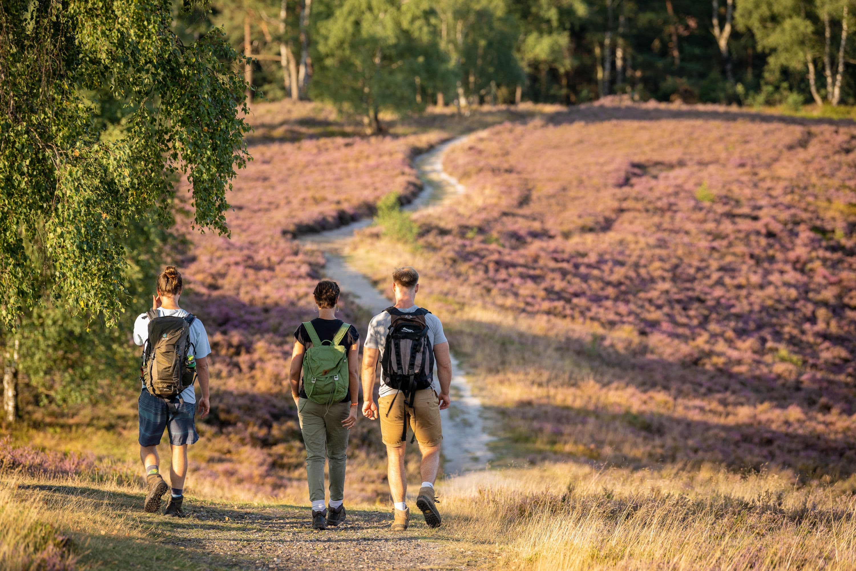 Brunsberg Sprötze wandern